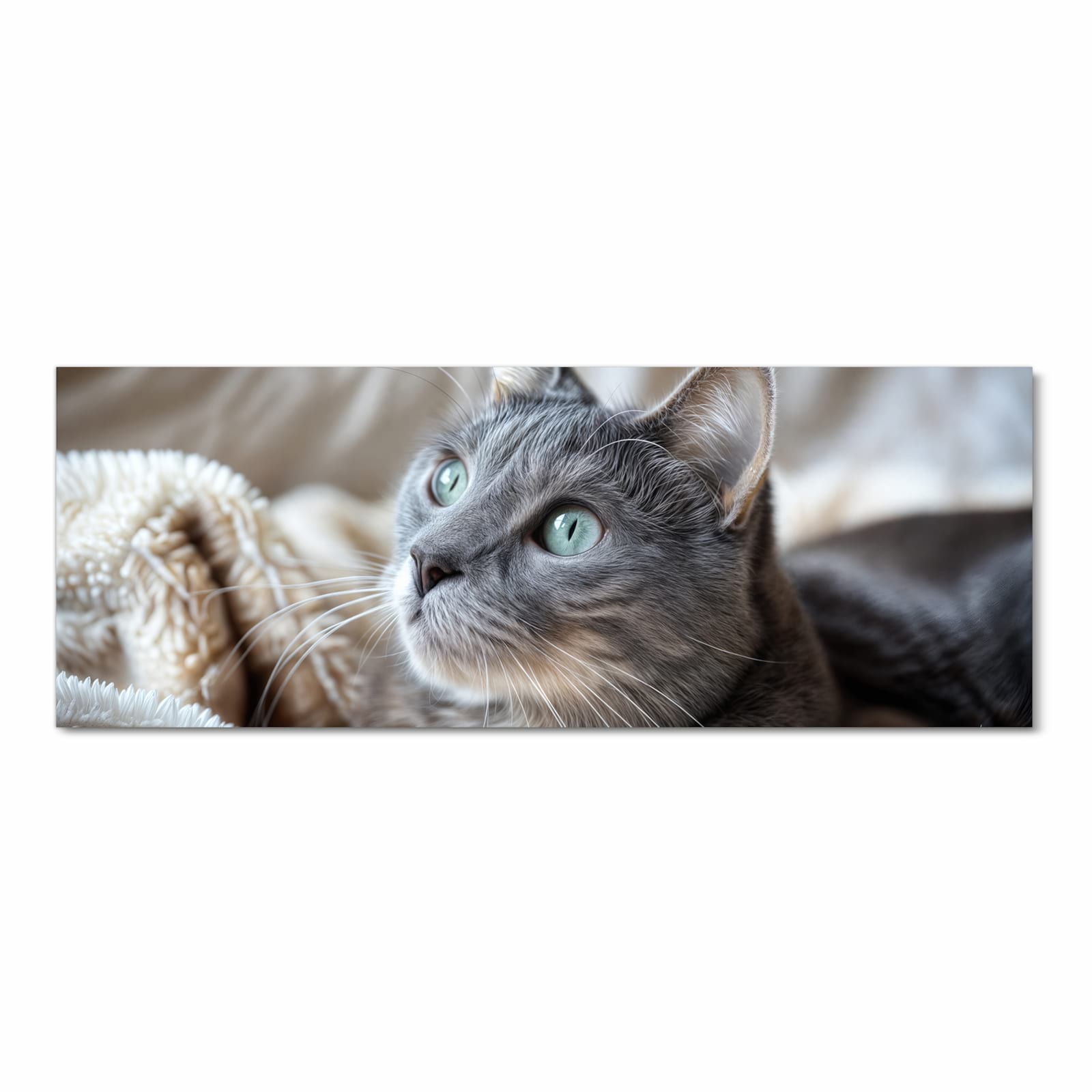 Küchenteppich mit Motiv Kuschelige Katze in Frontansicht für sichere Aufbewahrung