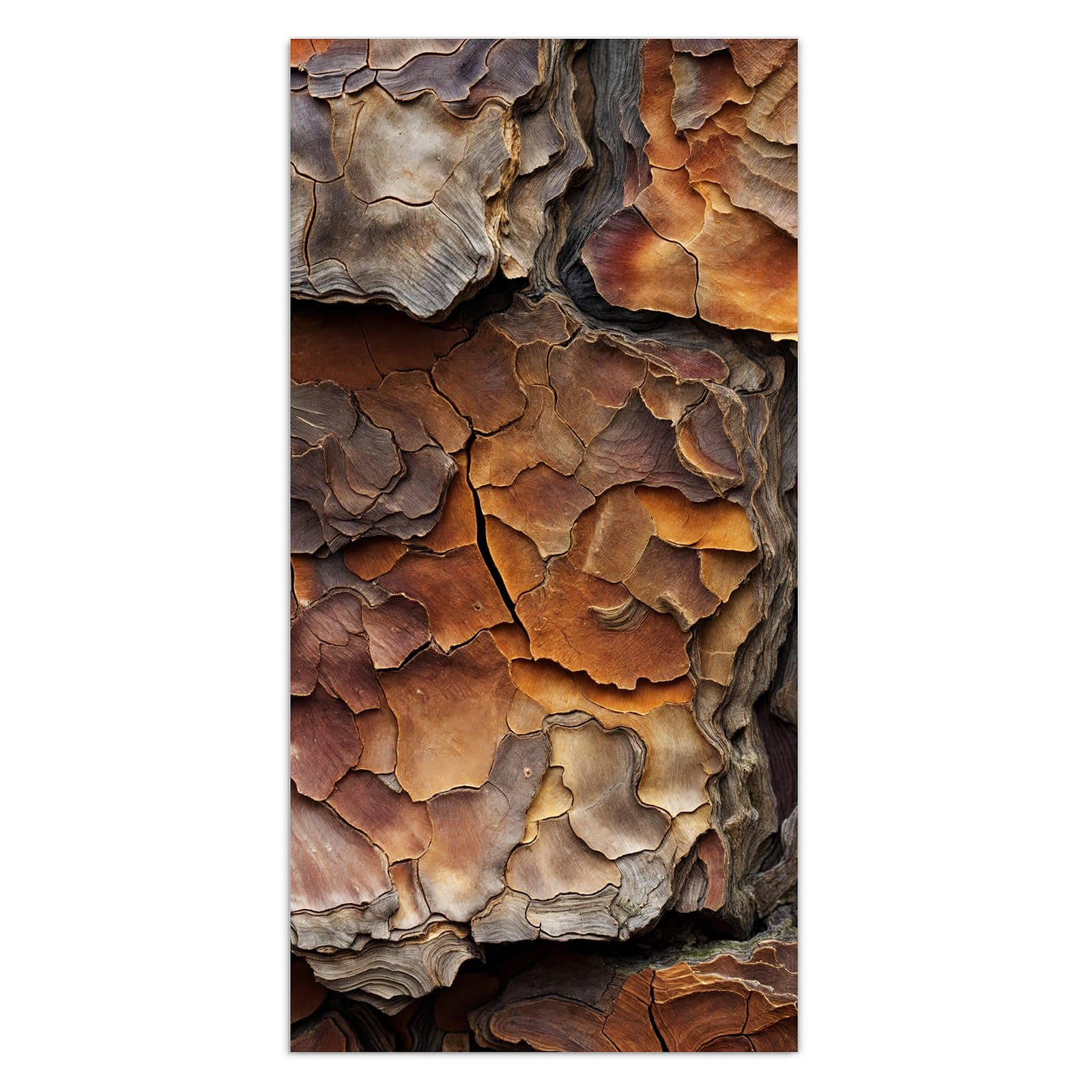 #grösse_30 x 60 cm #grösse_40 x 80 cm #grösse_50 x 100 cm #grösse_55 x 110 cm #grösse_60 x 120 cm