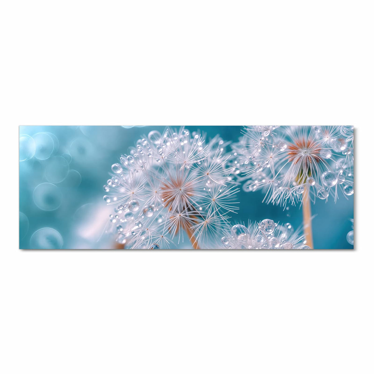 Komfortabler Küchenläufer mit Motiv Wassertropfen Pusteblume in Frontansicht