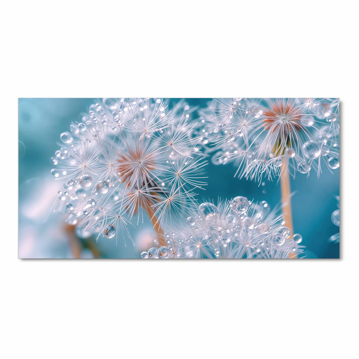 Abriebfester Küchenteppich mit Motiv Wassertropfen Pusteblume in Frontansicht - waschbar