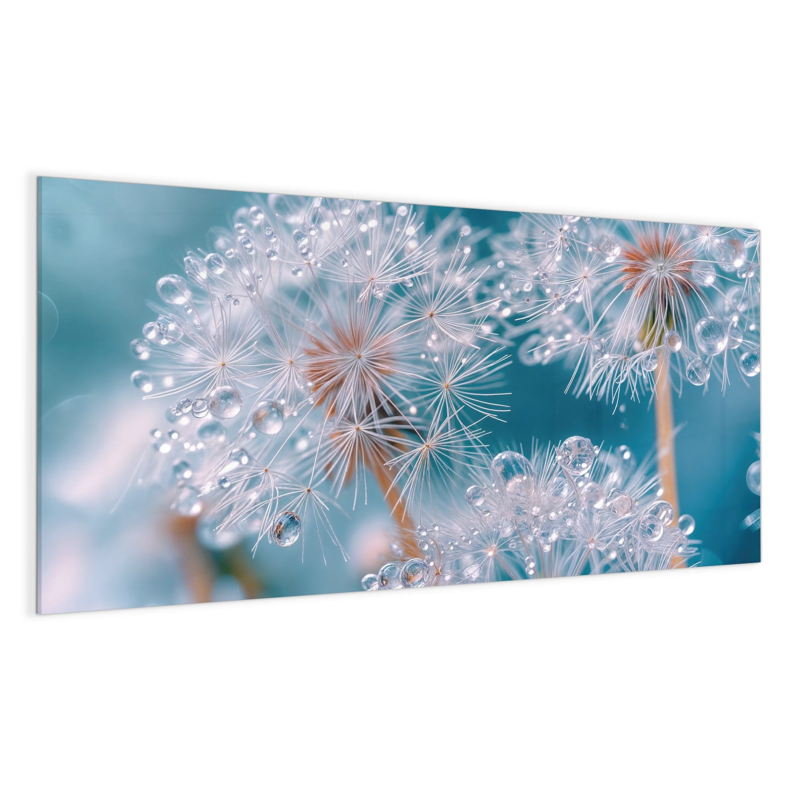 #grösse_100 x 50 cm