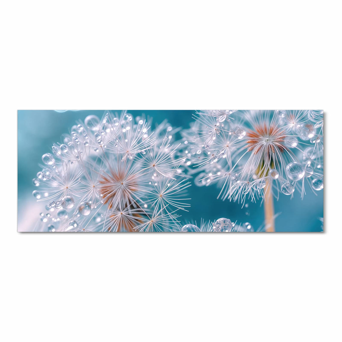 UV-beständiger Küchenteppich mit Motiv Wassertropfen Pusteblume in Frontansicht