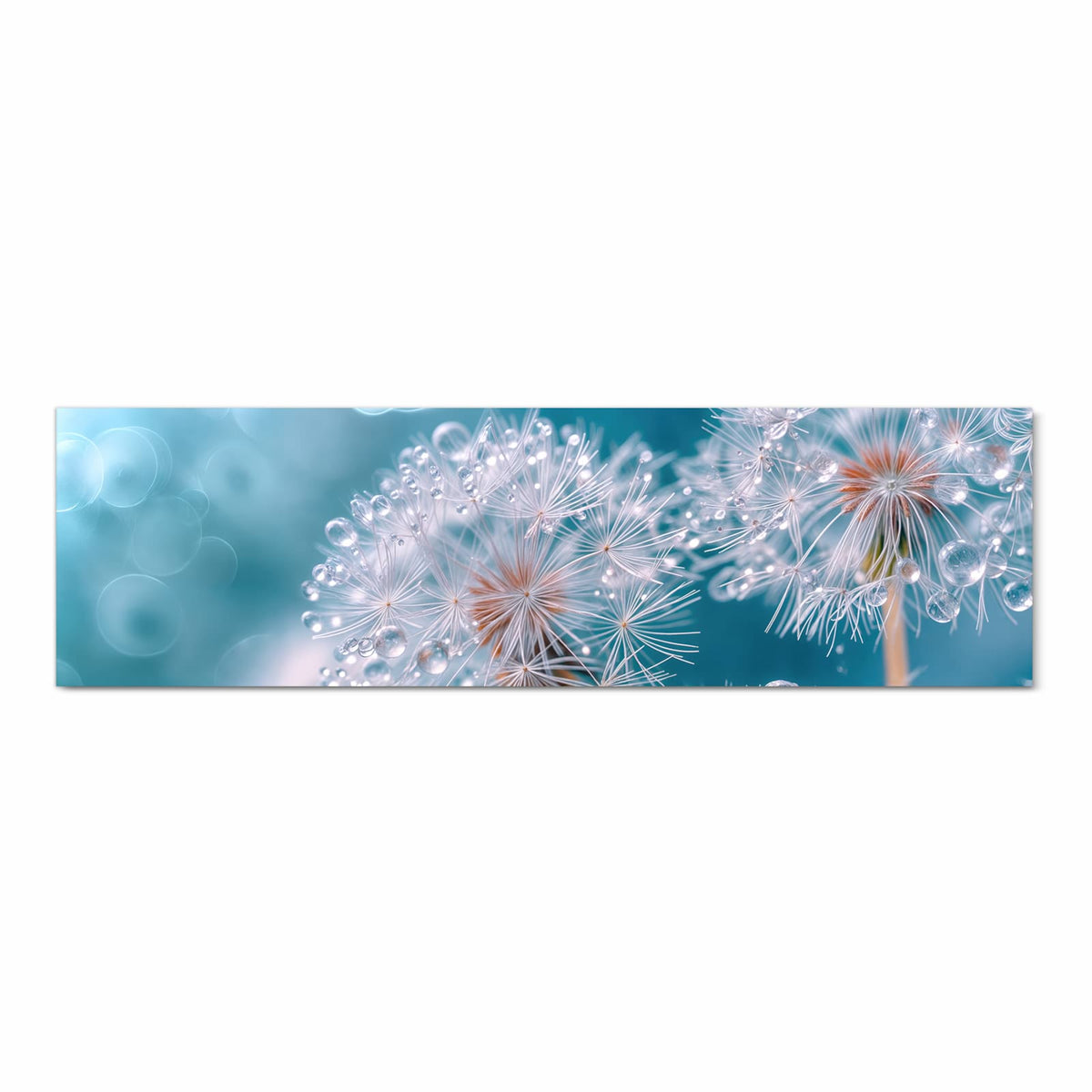 Flacher waschbarer Küchenteppich mit Motiv Wassertropfen Pusteblume in Frontansicht