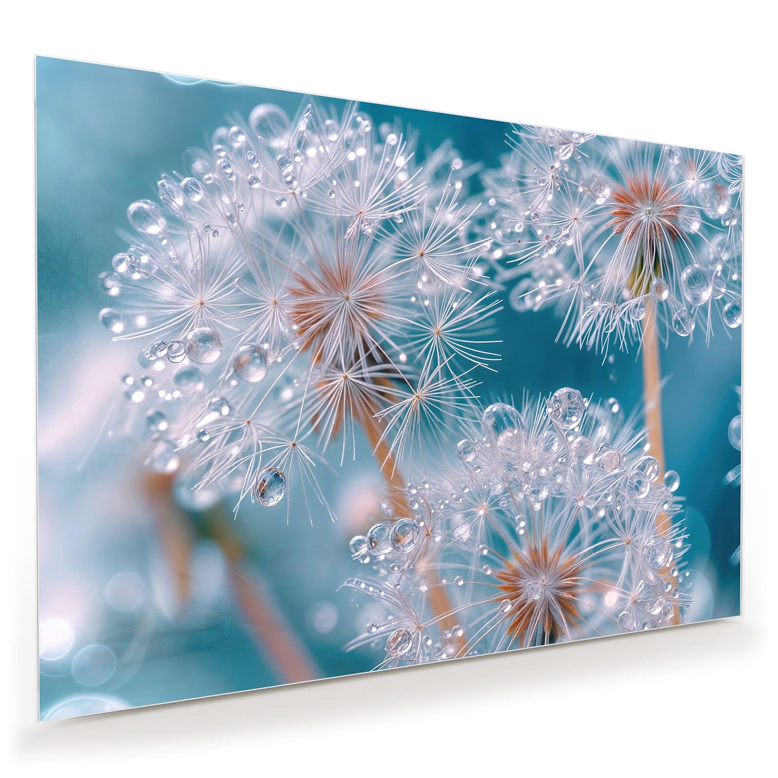 #grösse_100 x 70 cm