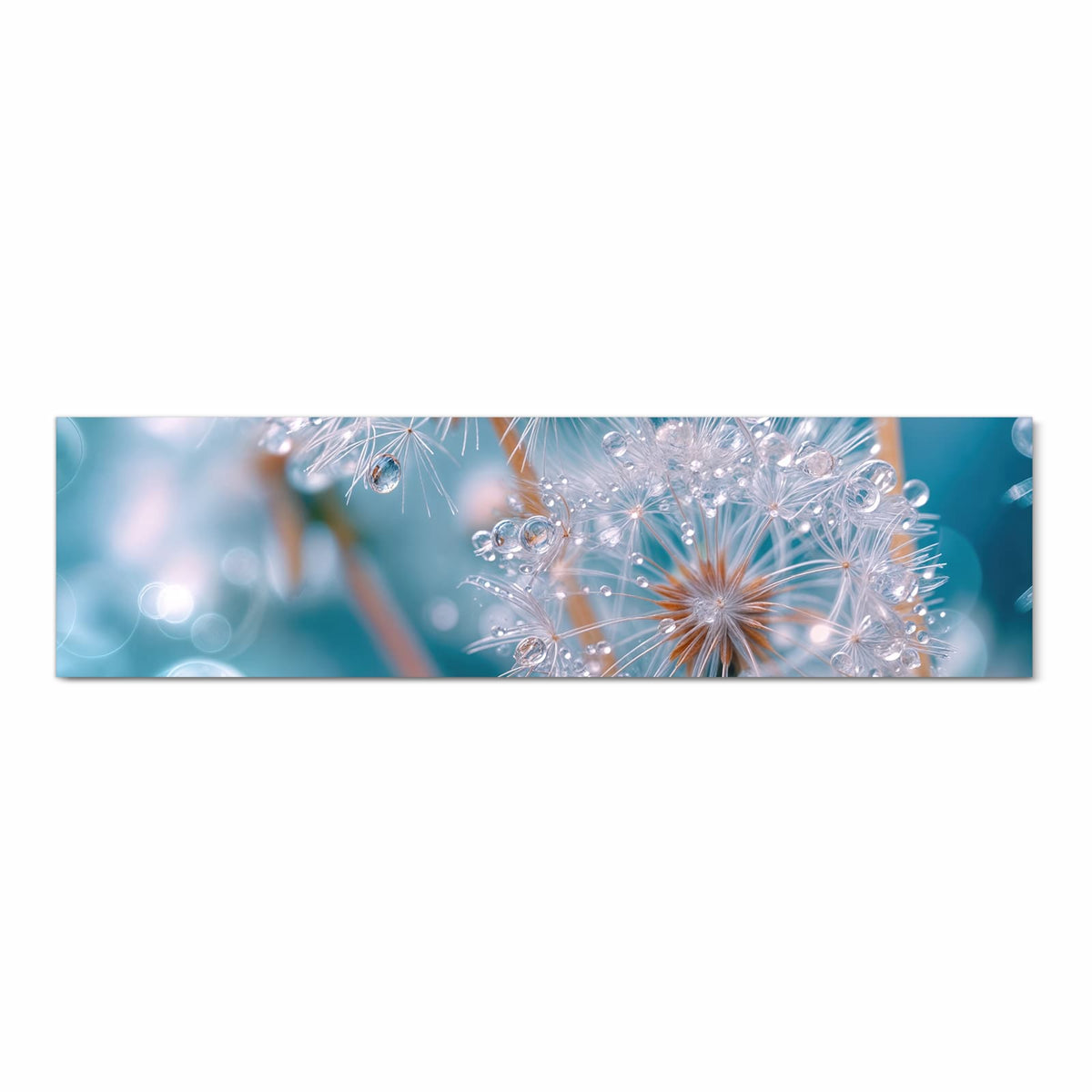 Pflegeleichter Küchenläufer mit Motiv Wassertropfen Pusteblume in Frontansicht
