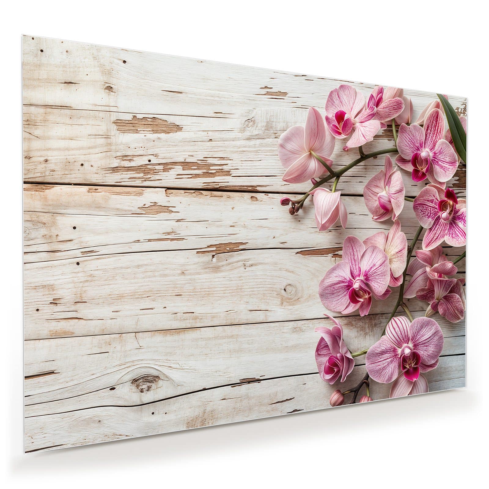 #grösse_100 x 70 cm