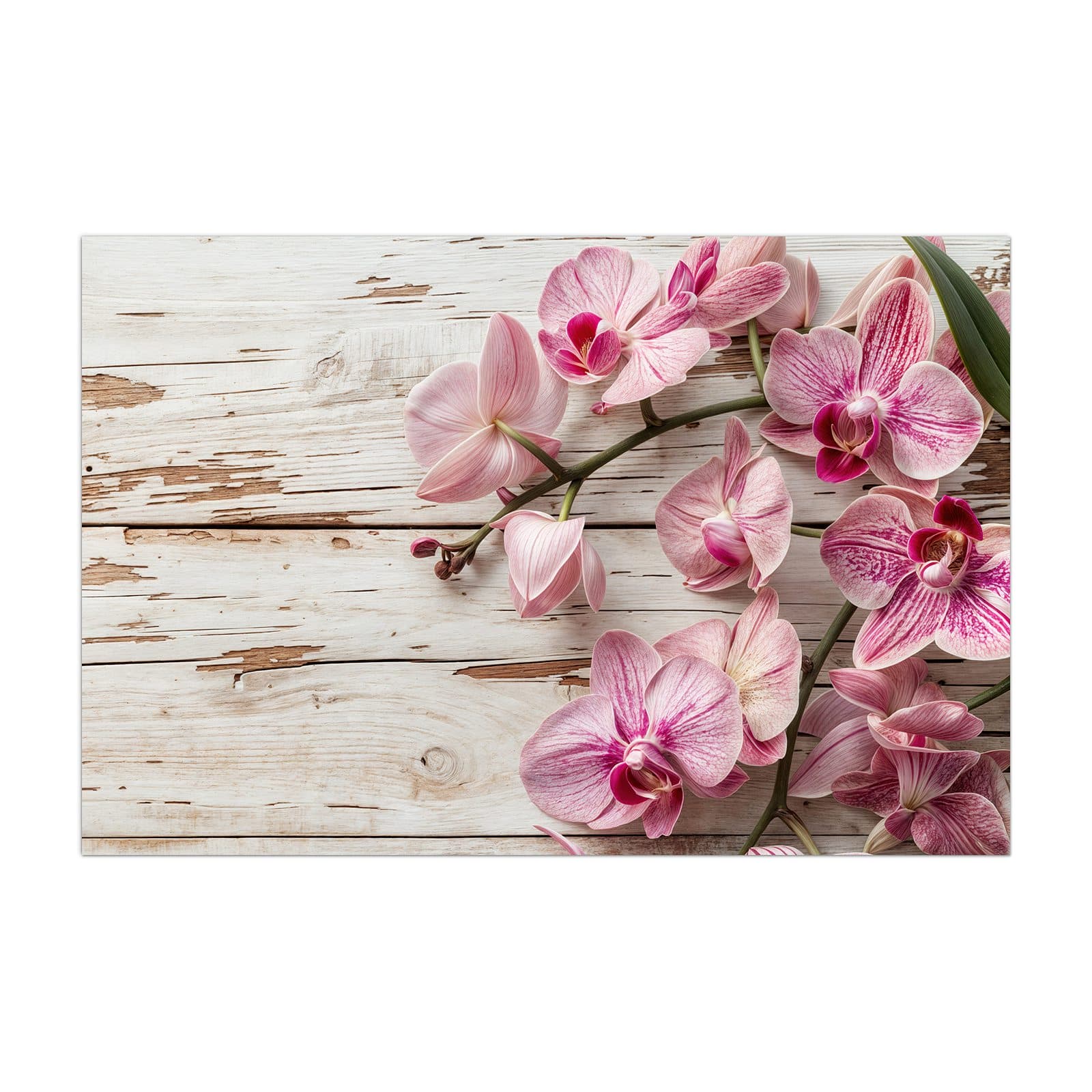 #grösse_40 x 60 cm #grösse_50 x 75 cm #grösse_60 x 90 cm #grösse_80 x 120 cm
