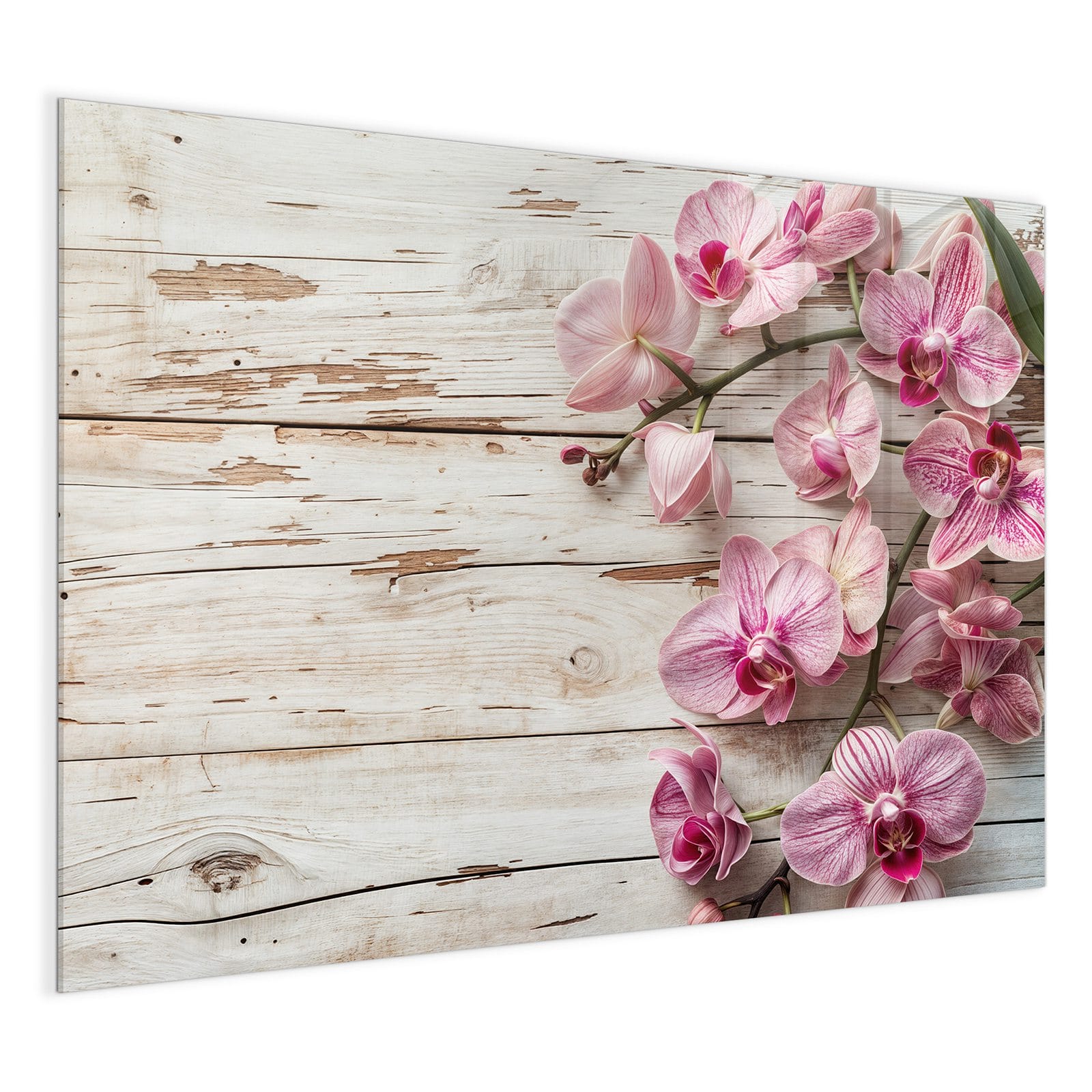 #grösse_120 x 90 cm