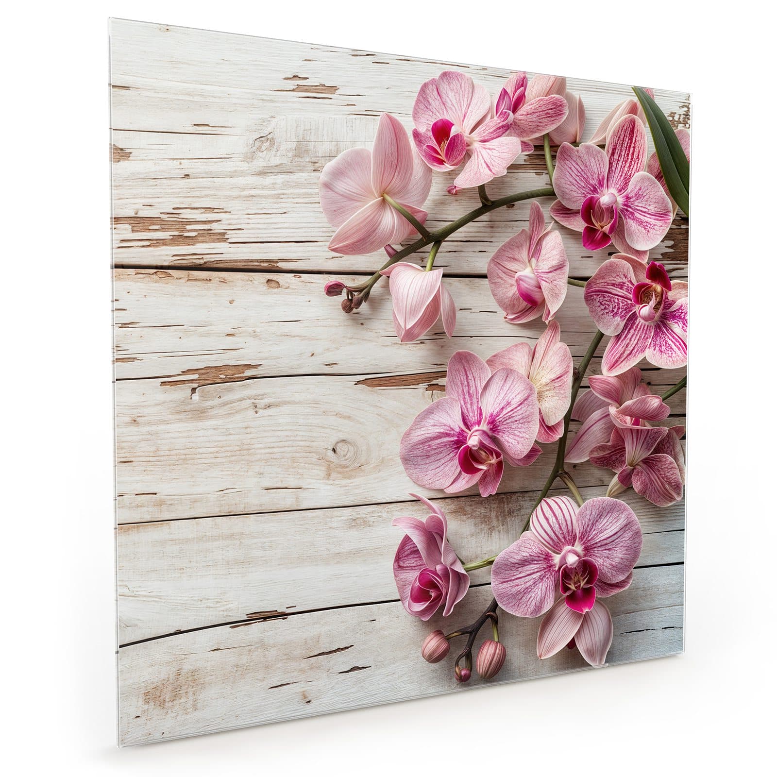 #70 x 70 cm_