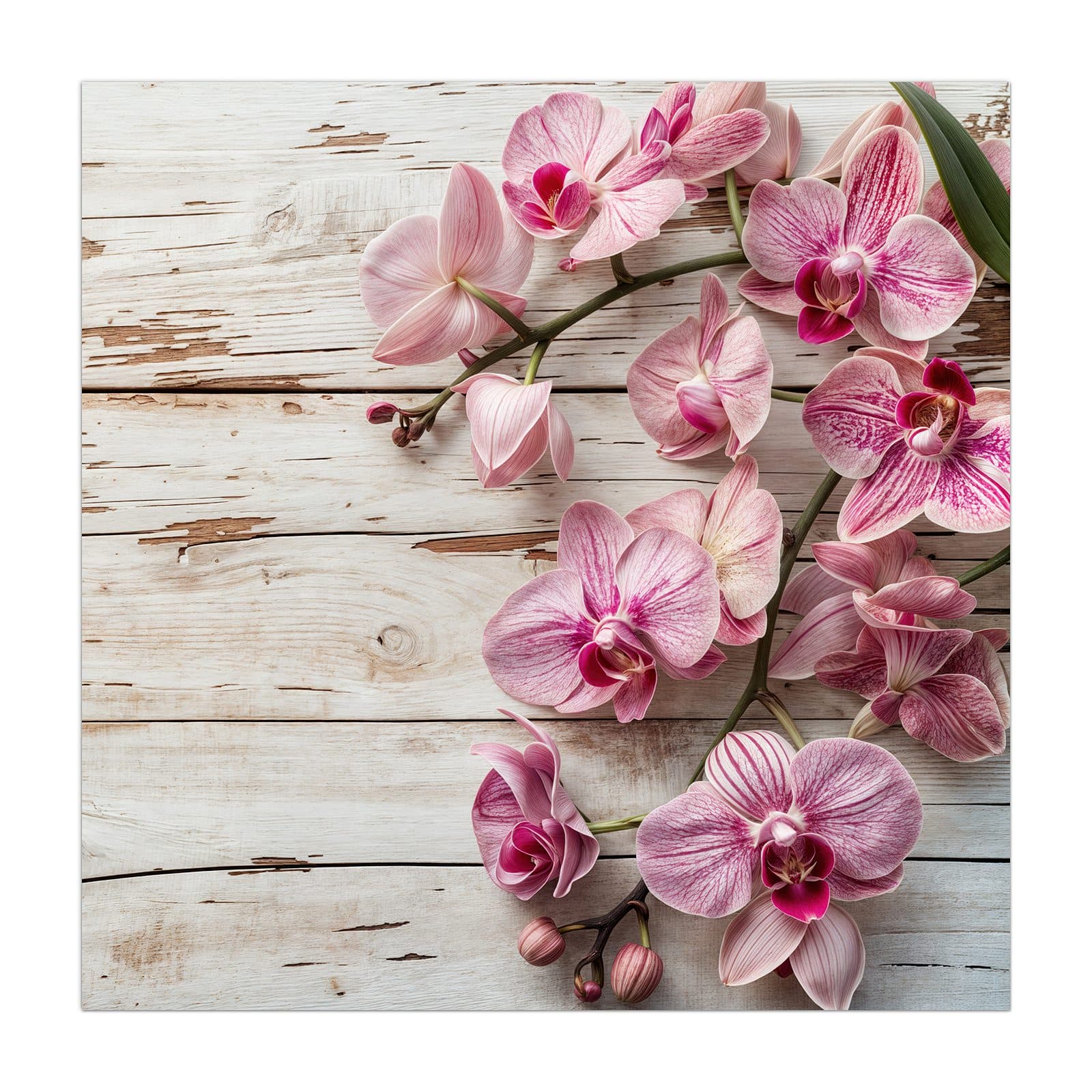 #grösse_40 x 40 cm #grösse_50 x 50 cm #grösse_55 x 55 cm #grösse_60 x 60 cm #grösse_65 x 65 cm #grösse_70 x 70 cm