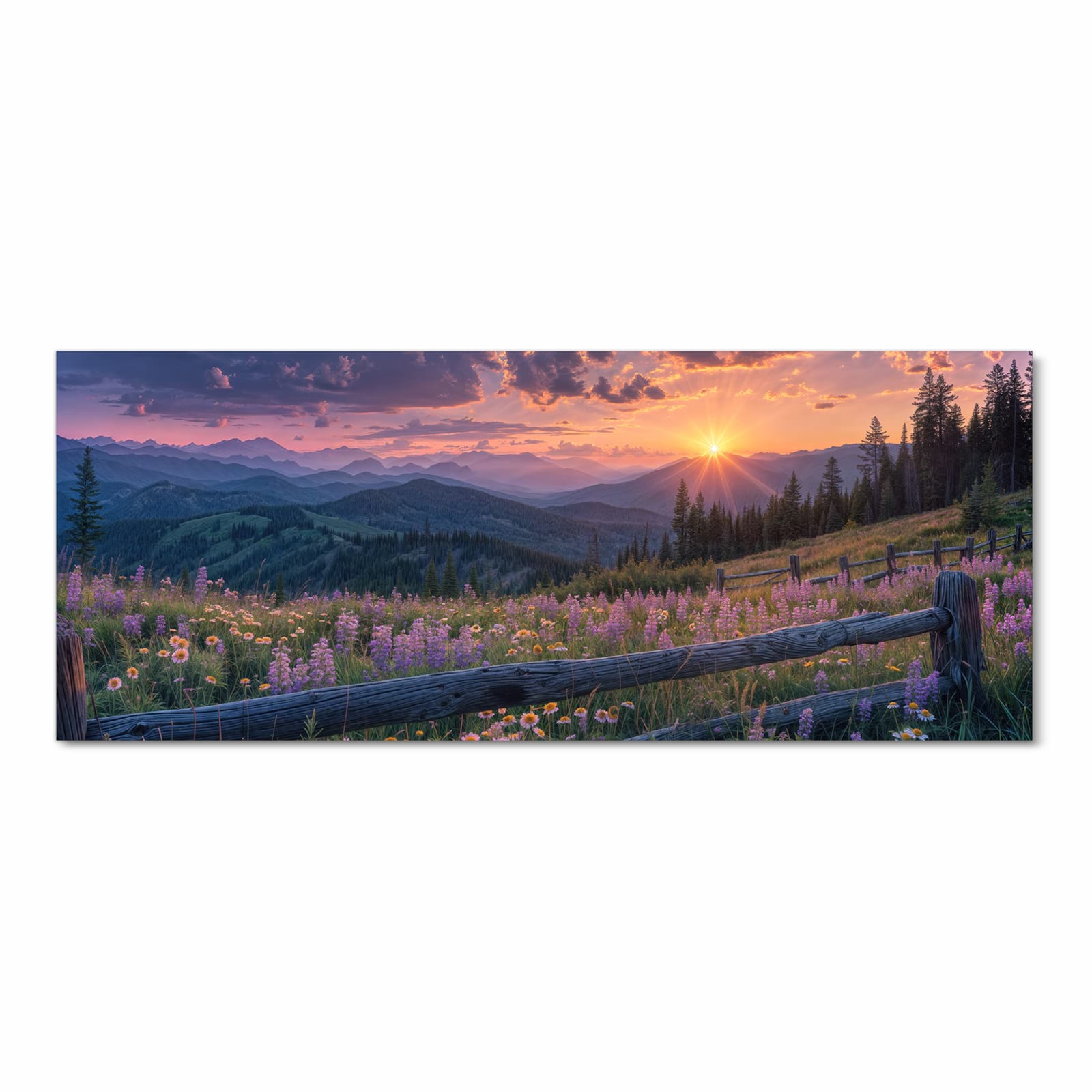 Hygienischer Küchenläufer mit Motiv Sonnenuntergang Wiese in Frontansicht