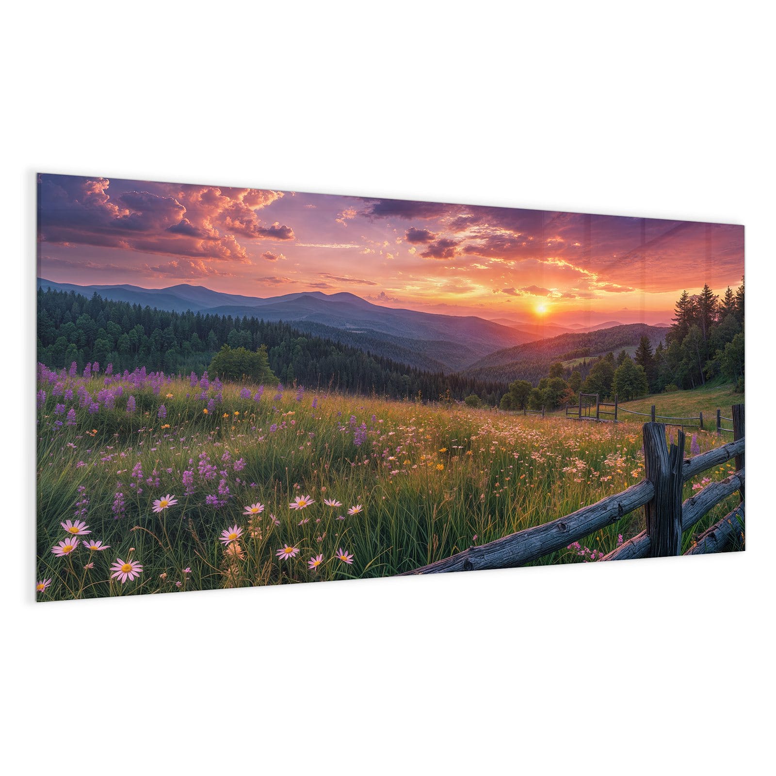 #grösse_100 x 50 cm