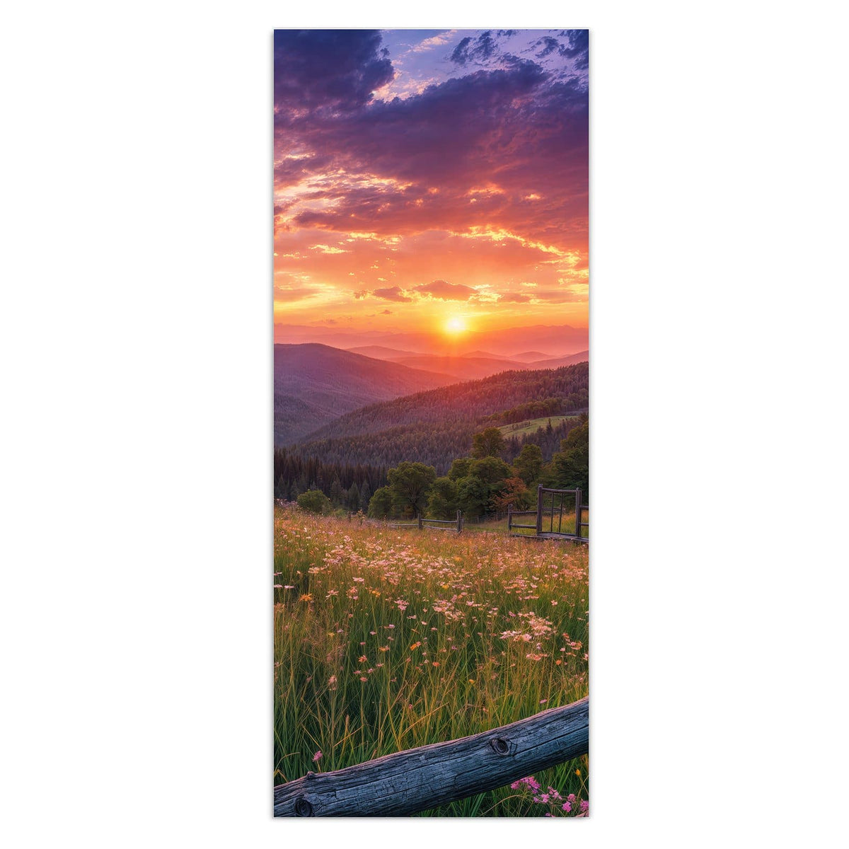 Wildblumenwiese hinter einem groben Holzzaun, Sonnenuntergang über bewaldeten Hügeln