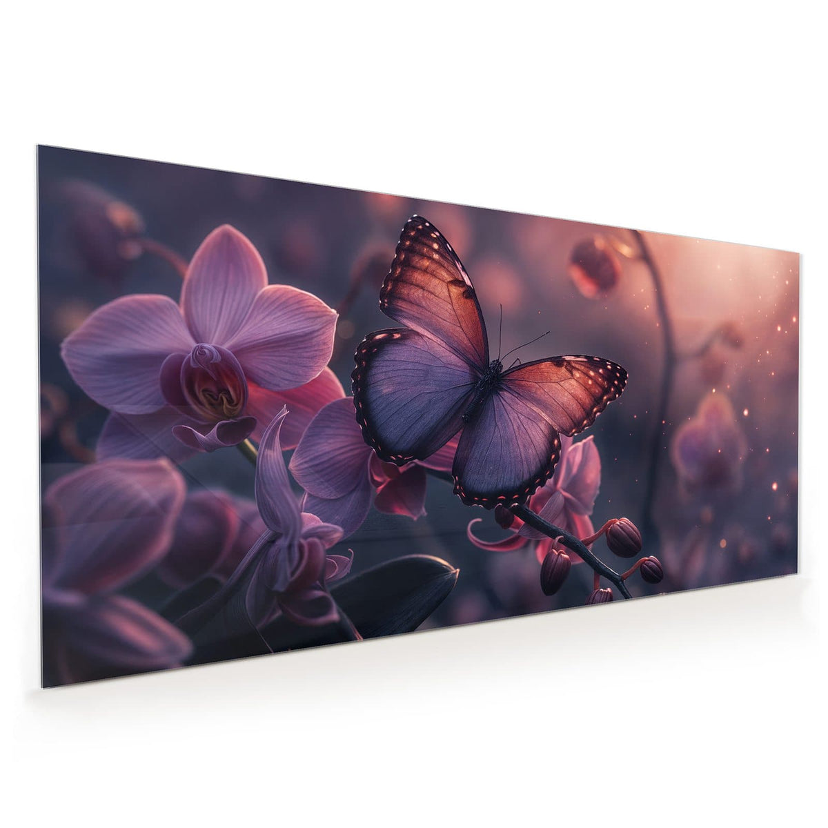 Küchenrückwand aus Glas im Hochformat: Violett-kupferner Schmetterling auf lila Orchideenblüten in dunklem Licht