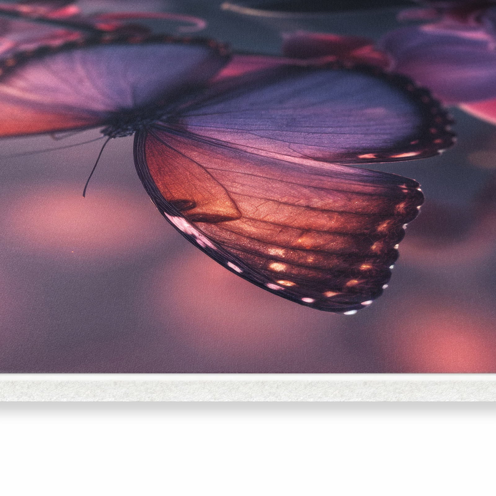 Langlebiger Küchenläufer mit Motiv Schmetterling Blüte in seitlicher Ansicht