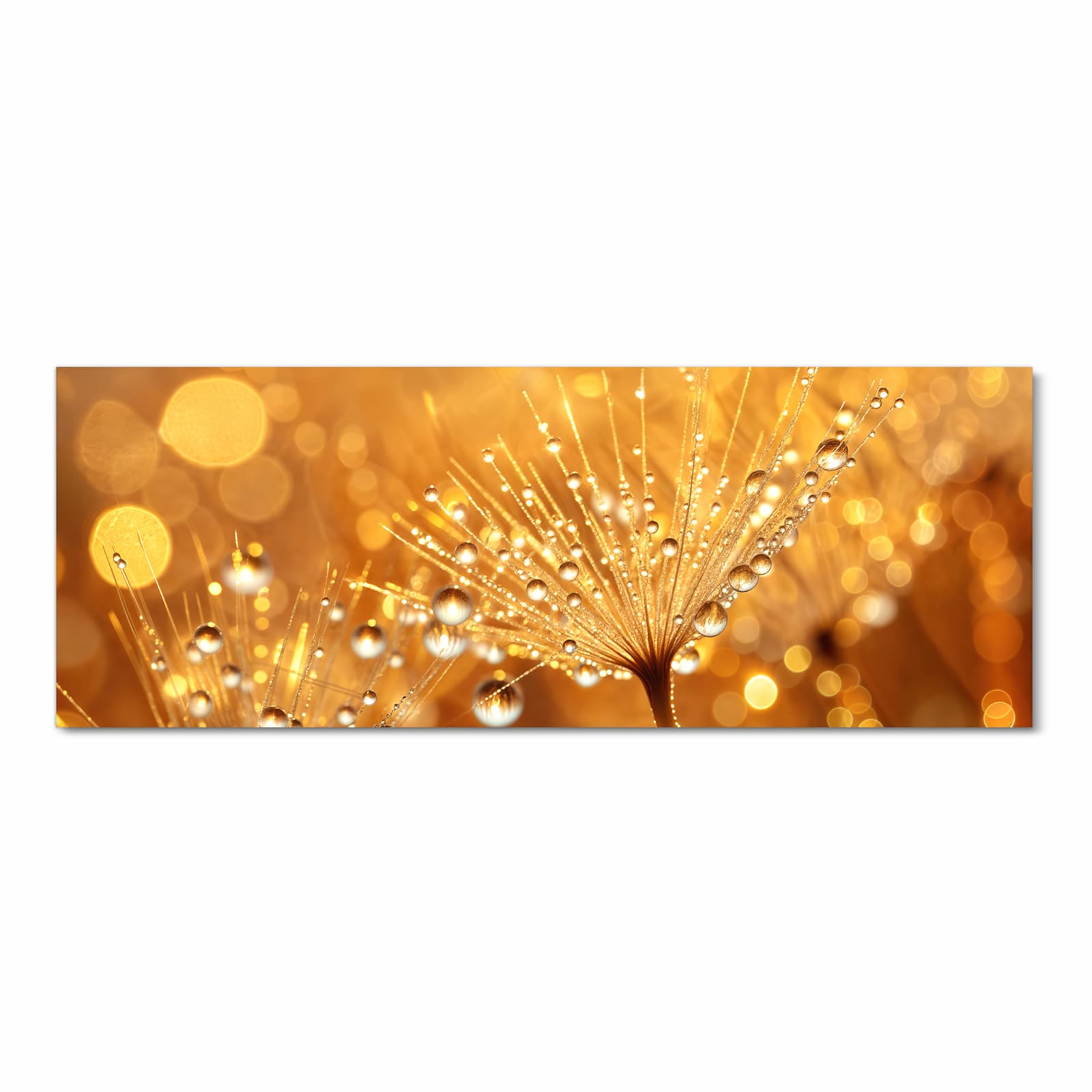 #grösse_90 x 240 cm