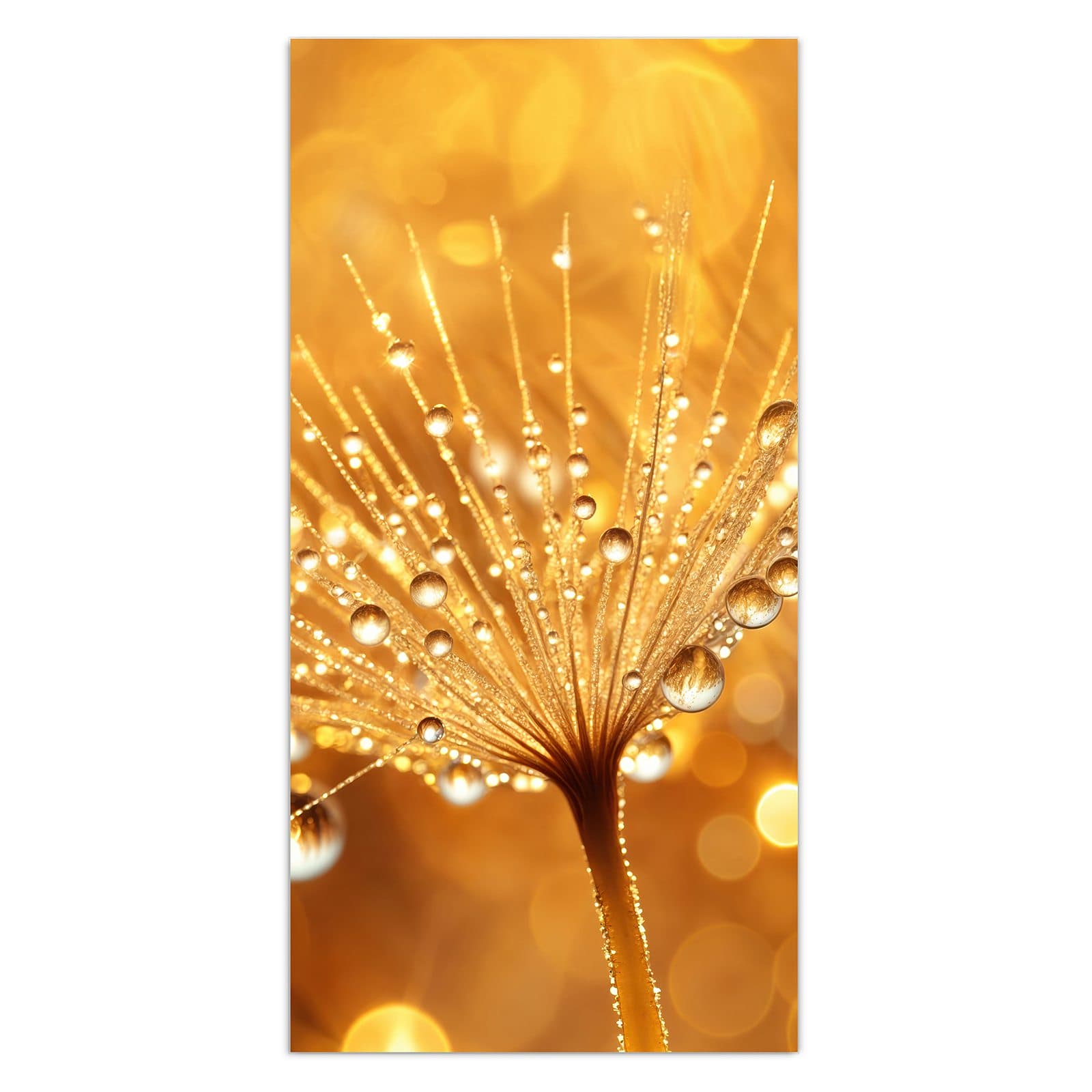 #grösse_30 x 60 cm #grösse_40 x 80 cm #grösse_50 x 100 cm #grösse_55 x 110 cm #grösse_60 x 120 cm