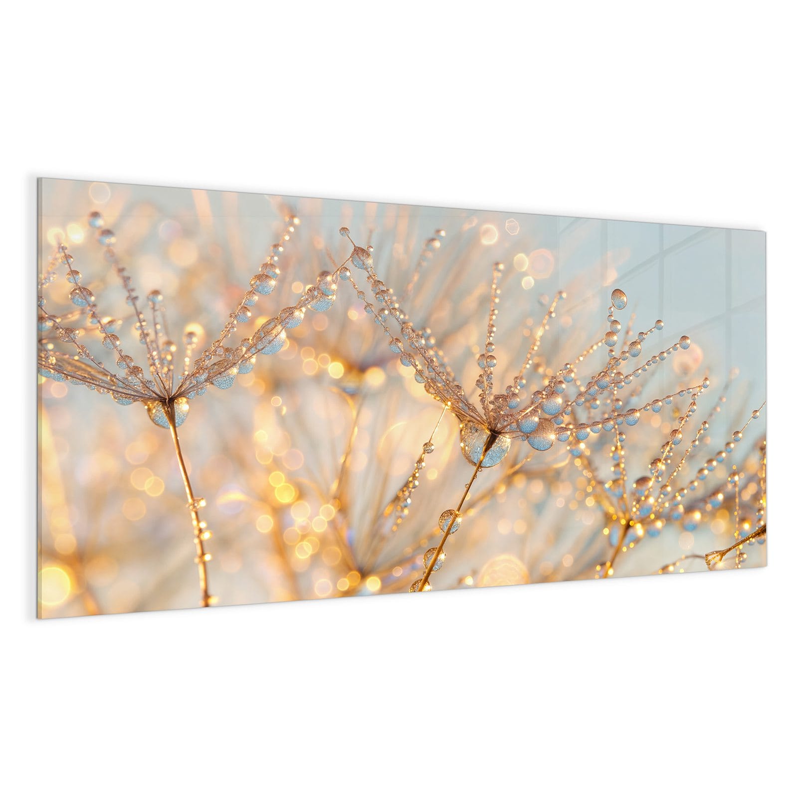 #grösse_100 x 50 cm