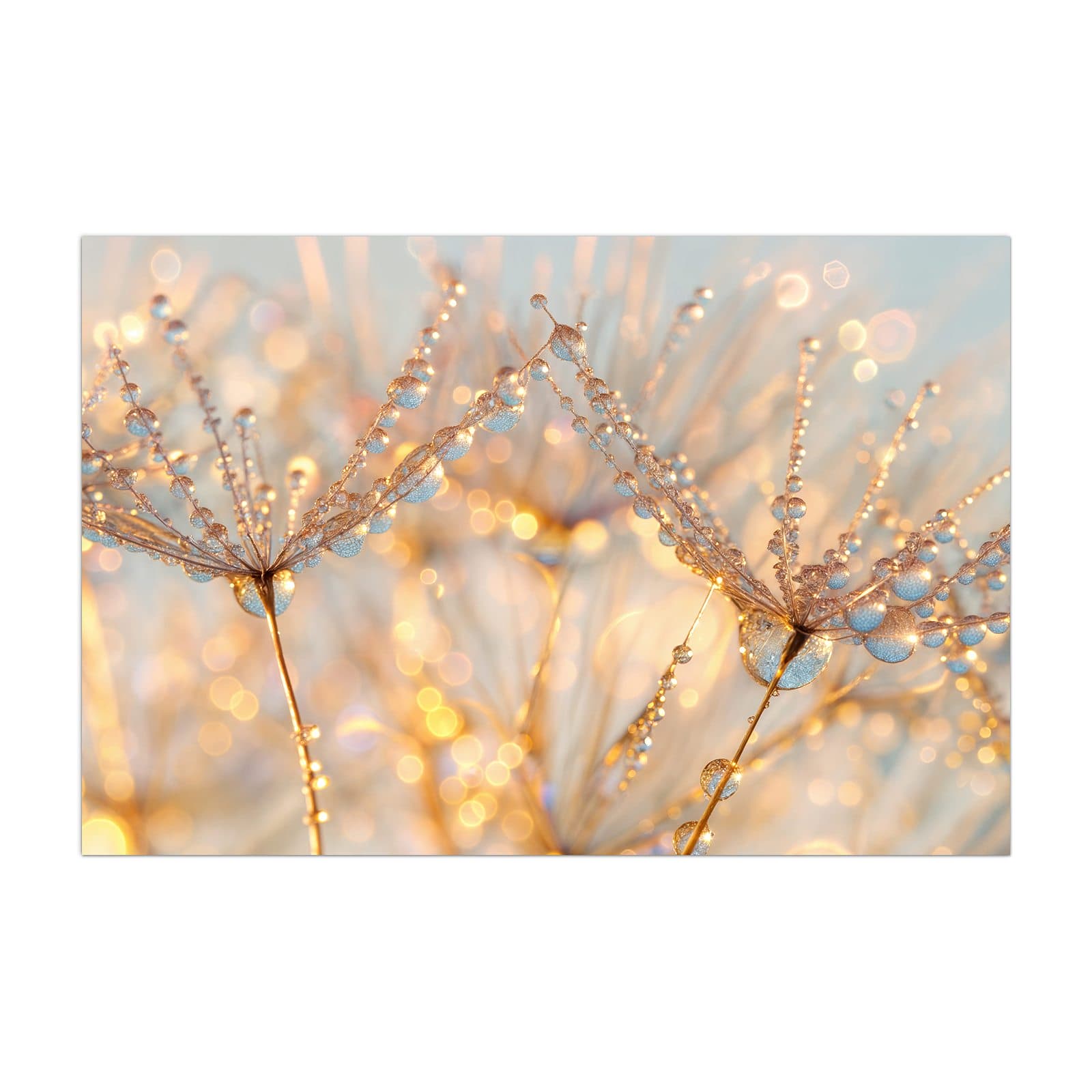 #grösse_40 x 60 cm #grösse_50 x 75 cm #grösse_60 x 90 cm #grösse_80 x 120 cm