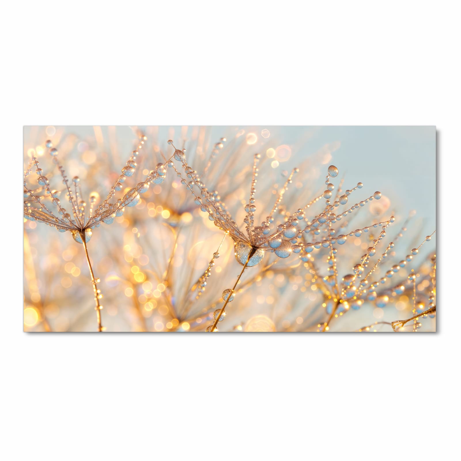 Abriebfester rutschfester Küchenteppich mit Motiv Tautropfen Panorama in Frontansicht