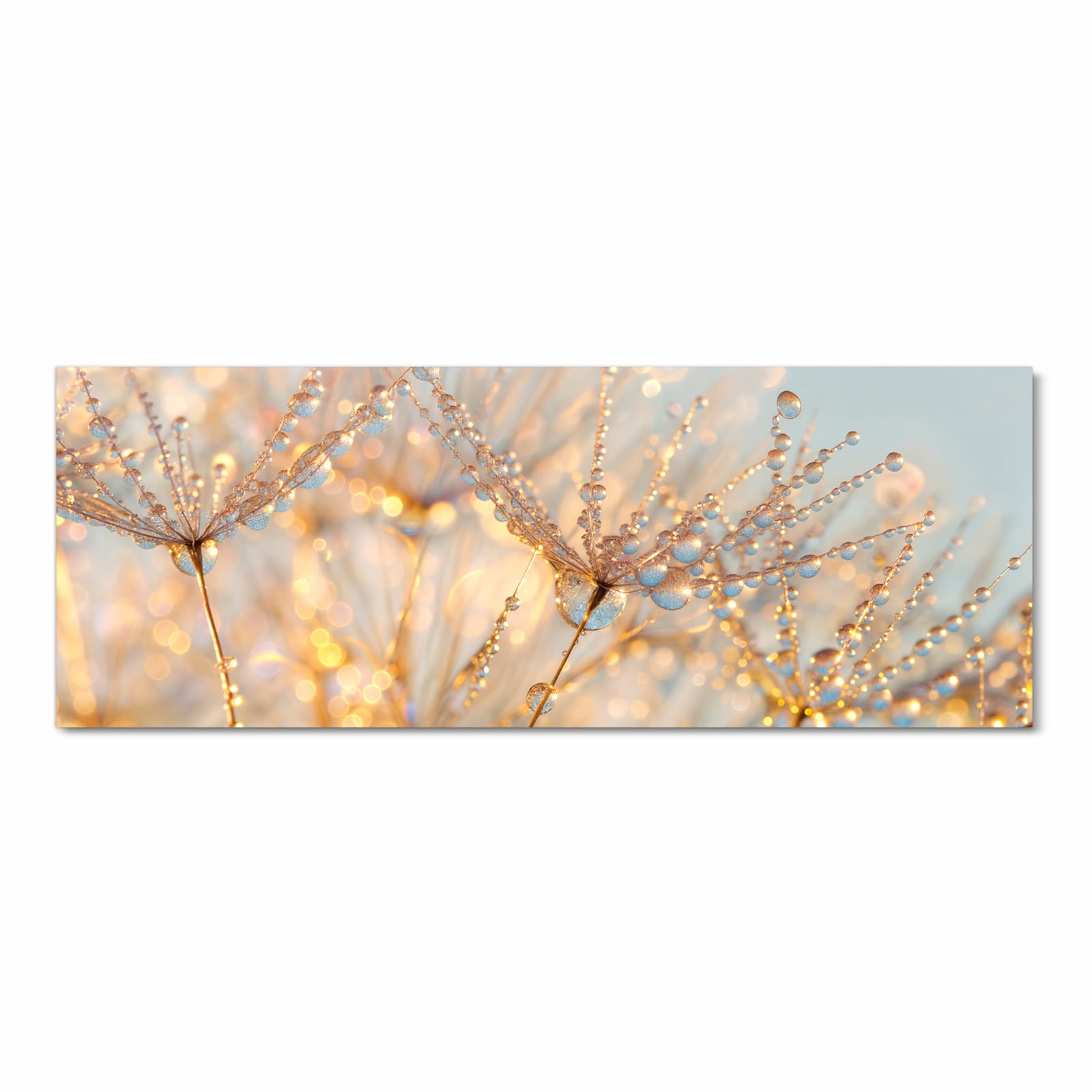 Komfortabler rutschfester Küchenläufer mit Motiv Tautropfen Panorama in Frontansicht