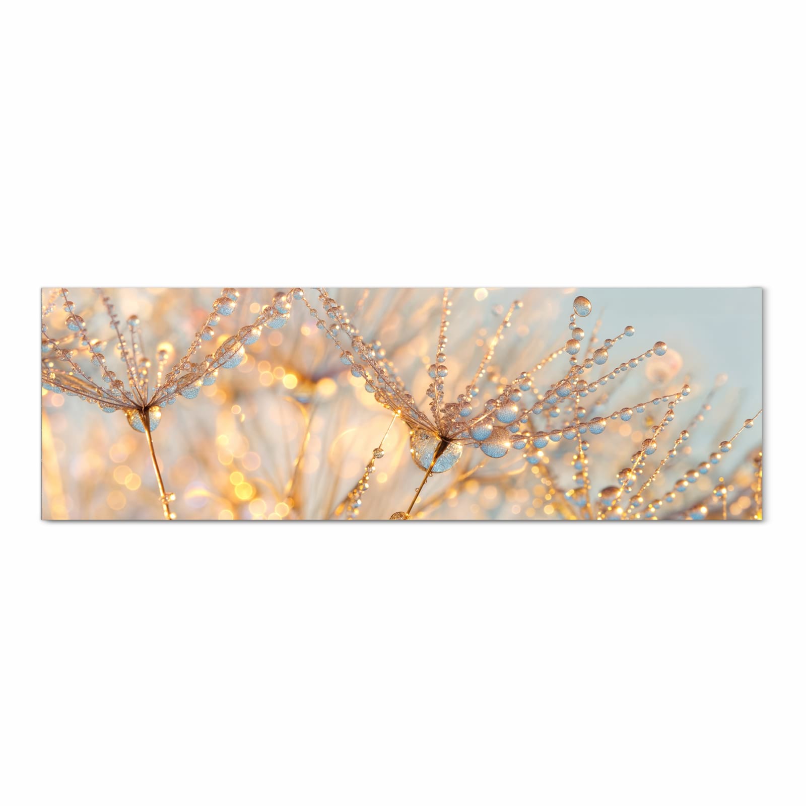 Langlebiger Küchenläufer mit Motiv Tautropfen Panorama in Frontansicht