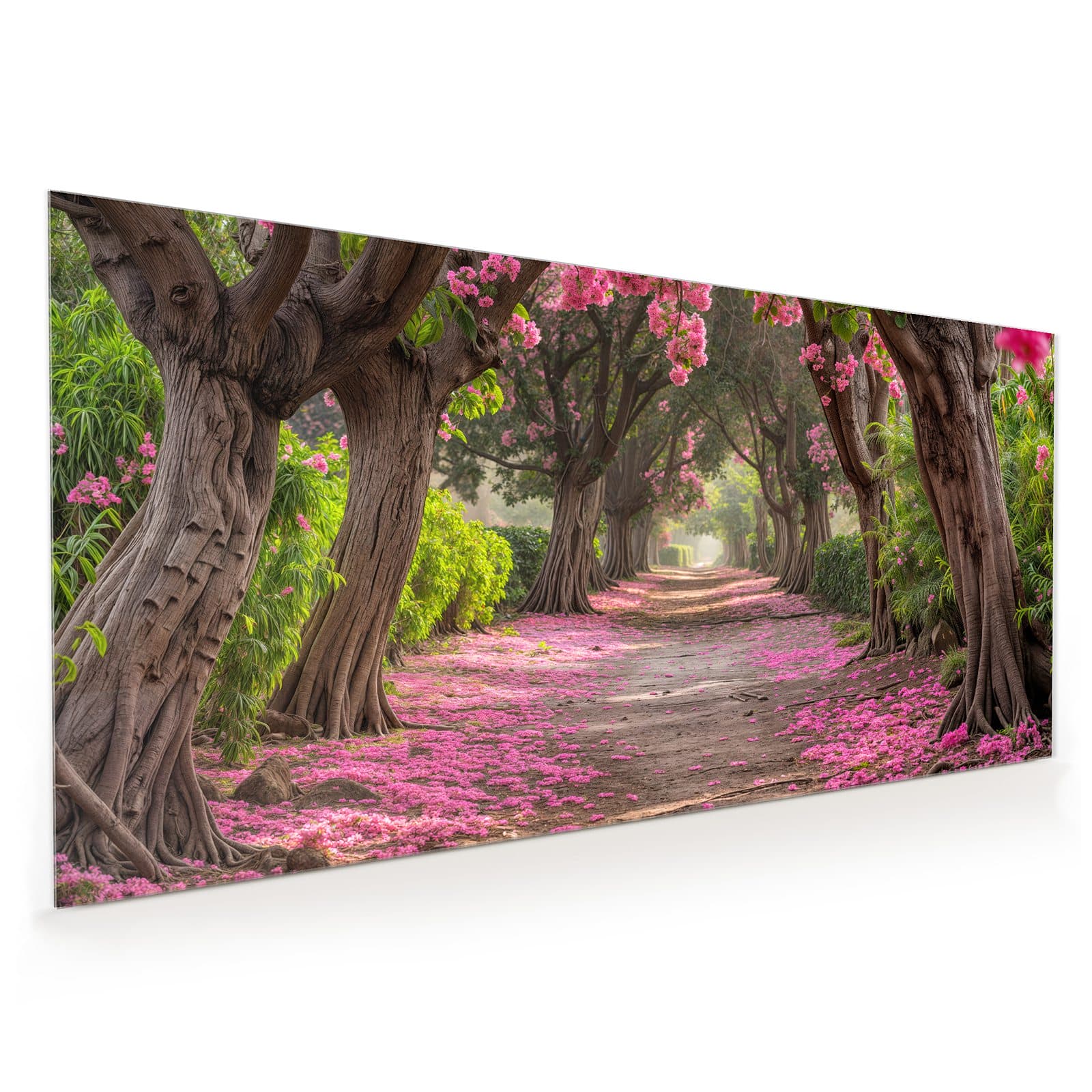 #60 x 120 cm_