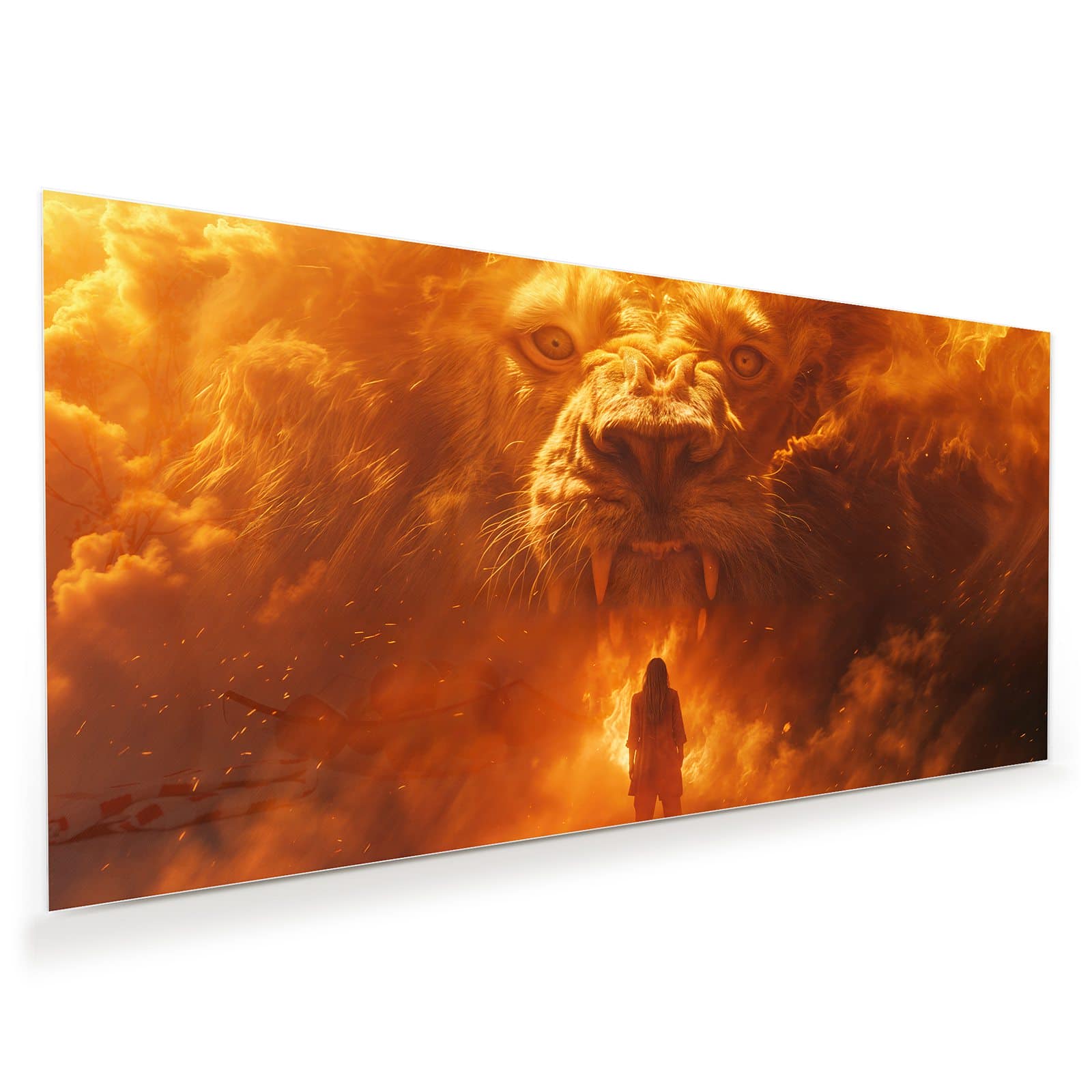 #grösse_60 x 30 cm #grösse_80 x 40 cm #grösse_100 x 50 cm #grösse_110 x 55 cm #grösse_120 x 60 cm