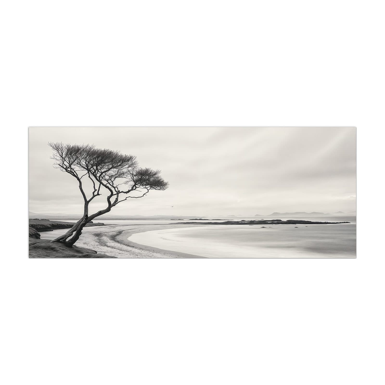 #grösse_40 x 100 cm #grösse_50 x 125 cm #grösse_60 x 150 cm