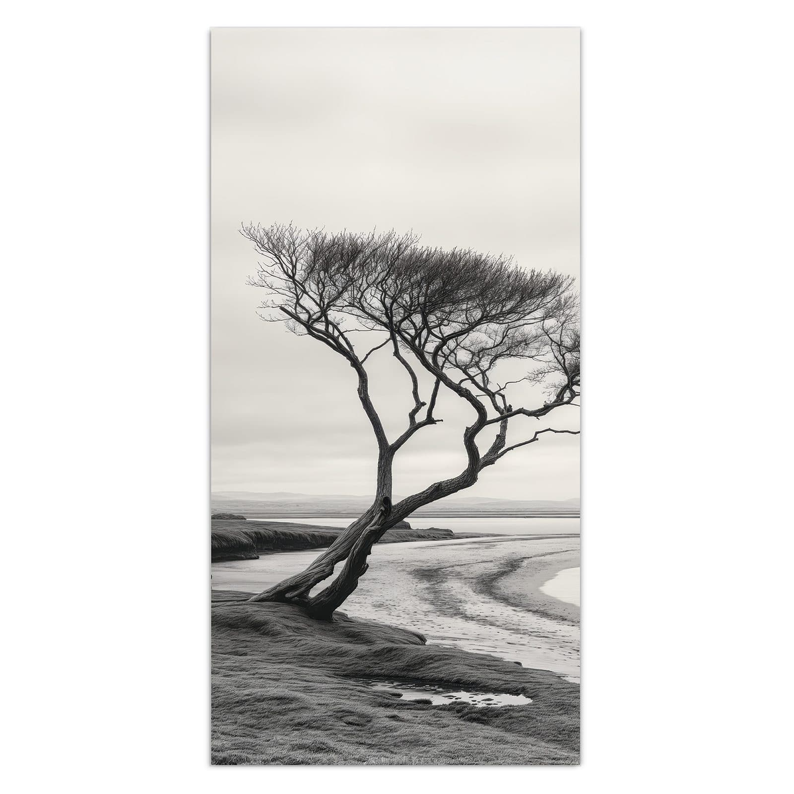 #grösse_30 x 60 cm #grösse_40 x 80 cm #grösse_50 x 100 cm #grösse_55 x 110 cm #grösse_60 x 120 cm