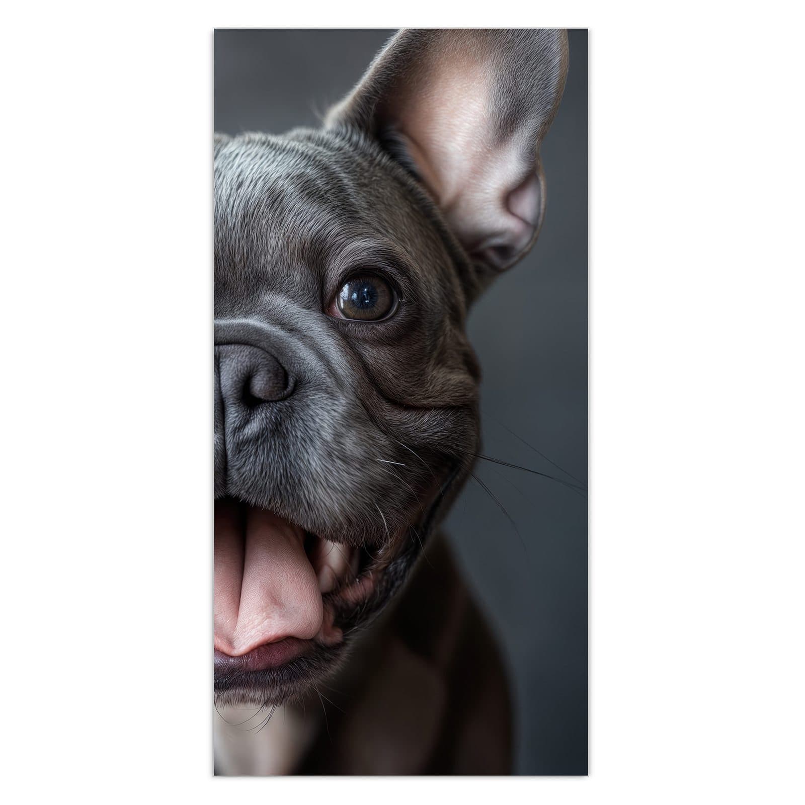 #grösse_30 x 60 cm #grösse_40 x 80 cm #grösse_50 x 100 cm #grösse_55 x 110 cm #grösse_60 x 120 cm