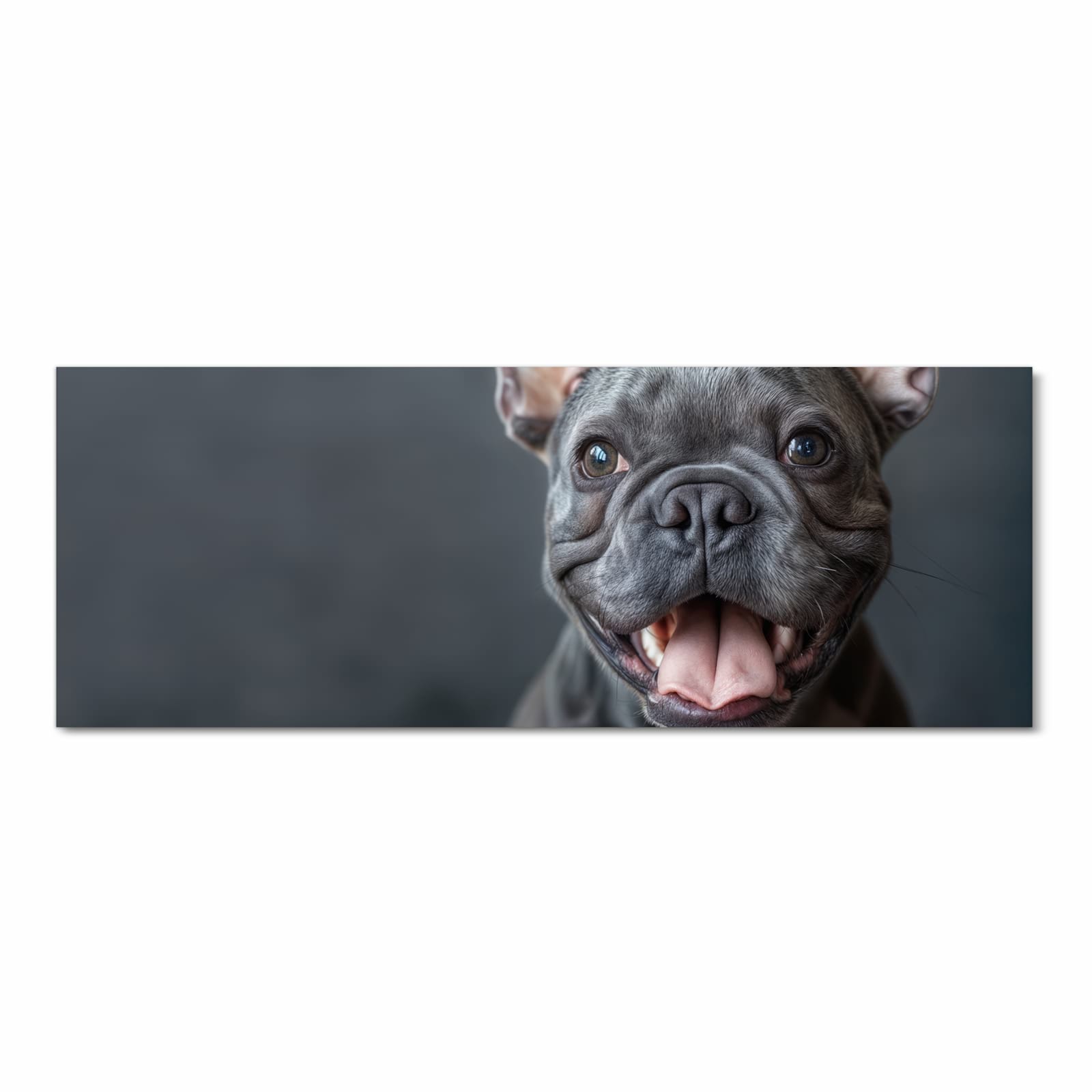 Flacher rutschfester Küchenläufer mit Motiv Lachender Hund in Frontansicht