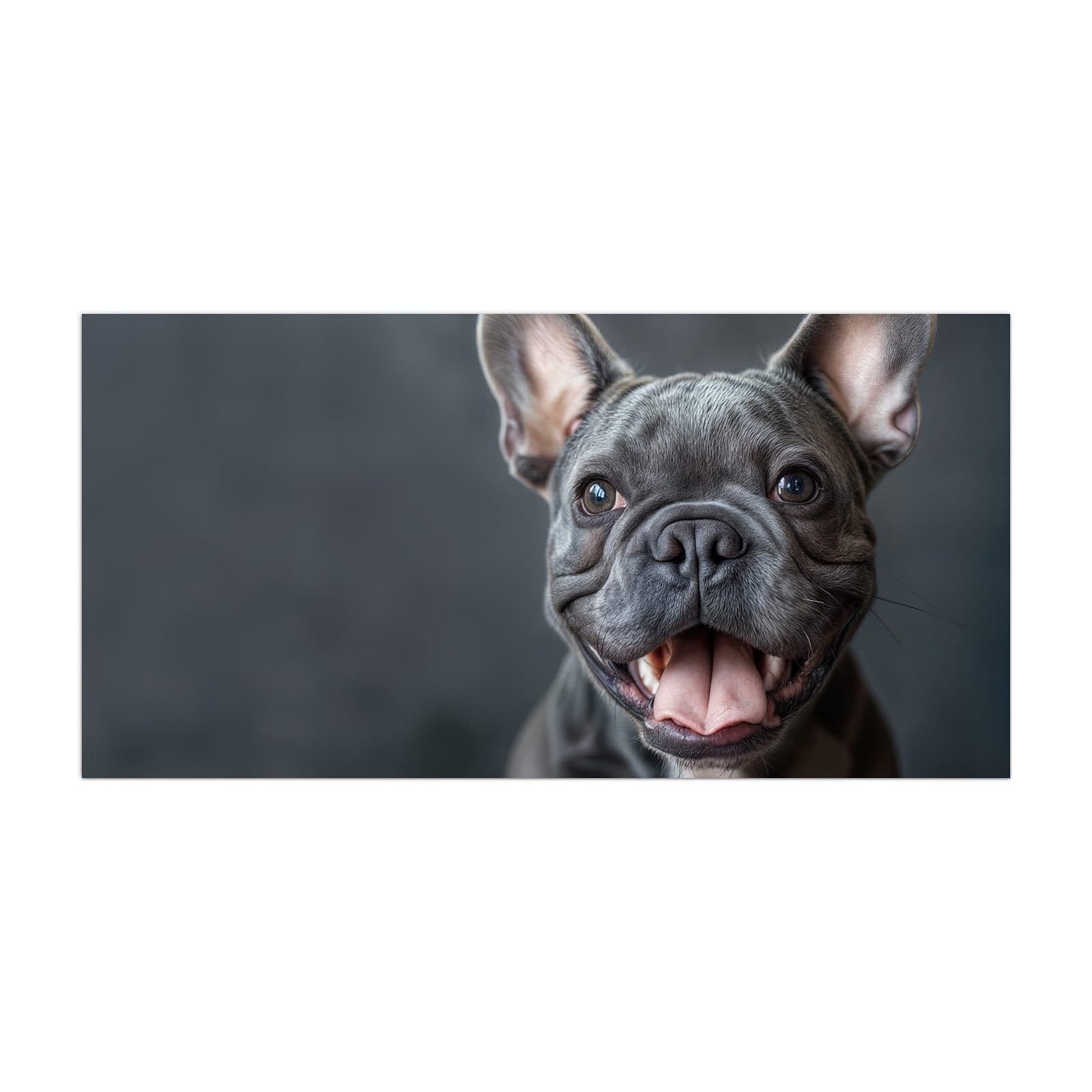 #grösse_40 x 80 cm #grösse_50 x 100 cm #grösse_55 x 110 cm #grösse_60 x 120 cm