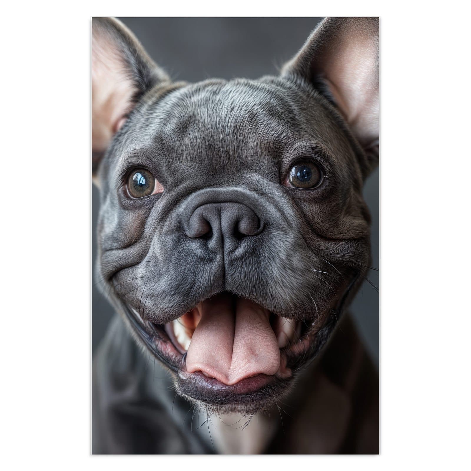 #grösse_40 x 60 cm #grösse_50 x 75 cm #grösse_60 x 90 cm