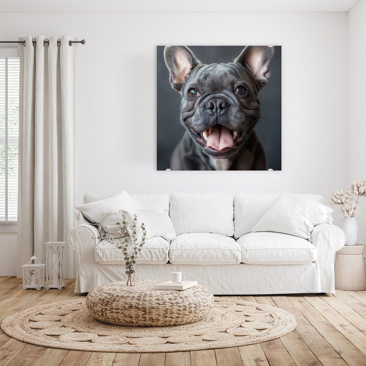 Glasbild Lachender Hund an der Wand – Graue Französische Bulldogge mit offenem Maul und breitem Grinsen