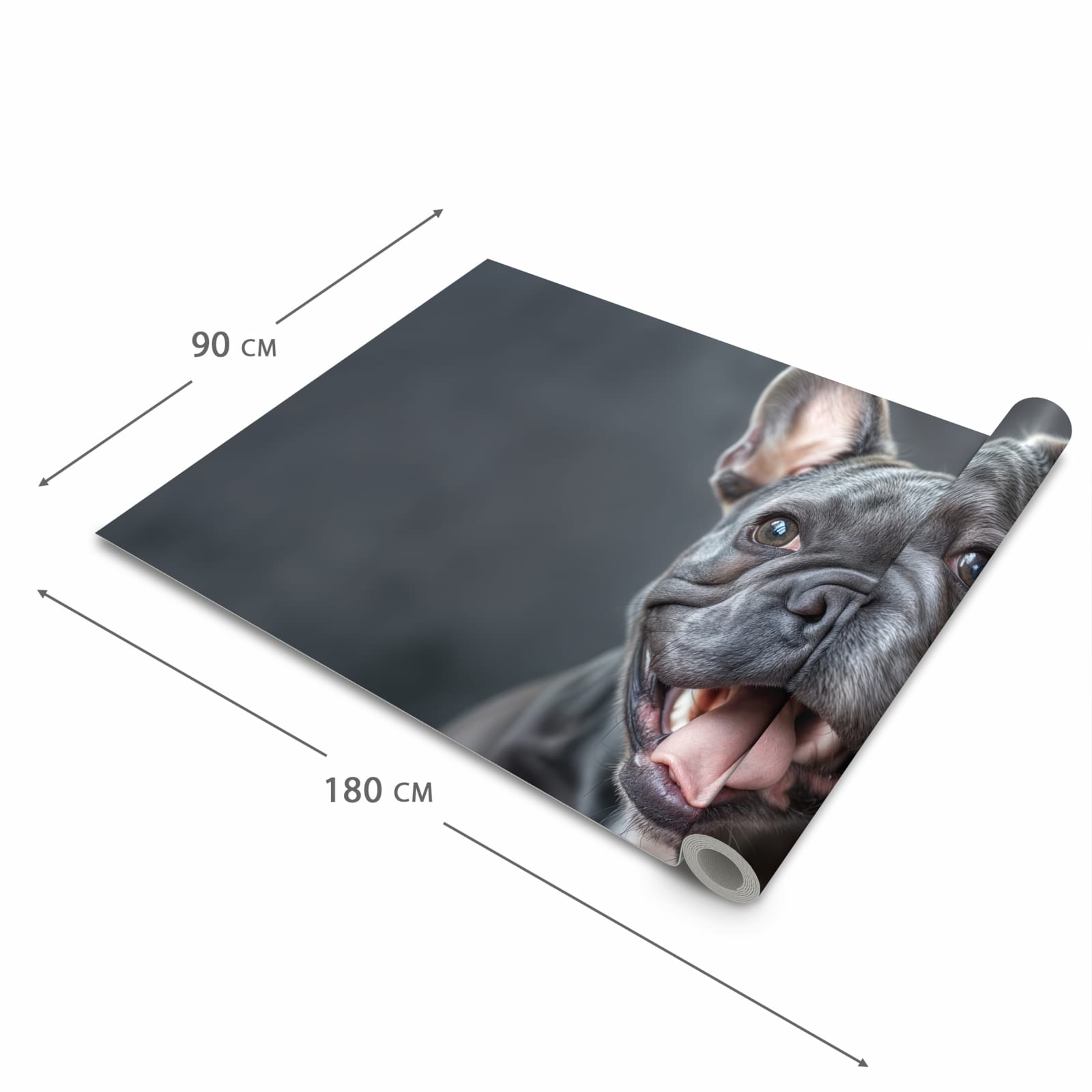 Komfortabler Küchenteppich mit Motiv Lachender Hund in der Grösse 60x180 cm für die Küche