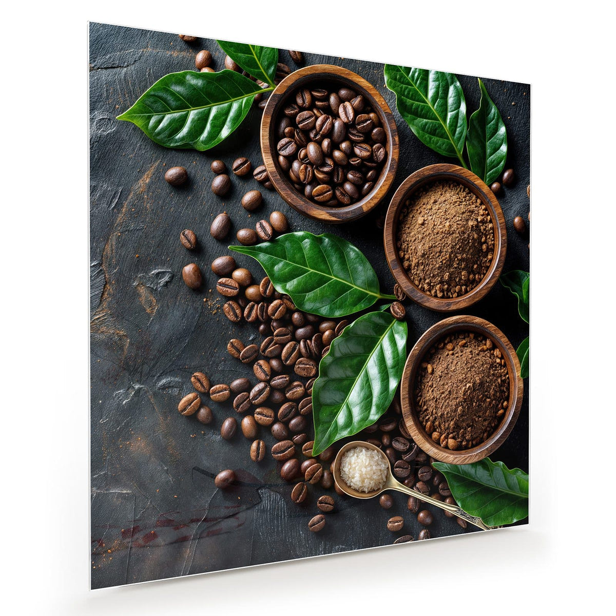 Drei Holzschalen mit Kaffeebohnen und Kaffeepulver, dazwischen ganze Bohnen und große grüne Kaffeeblätter auf dunklem Stein