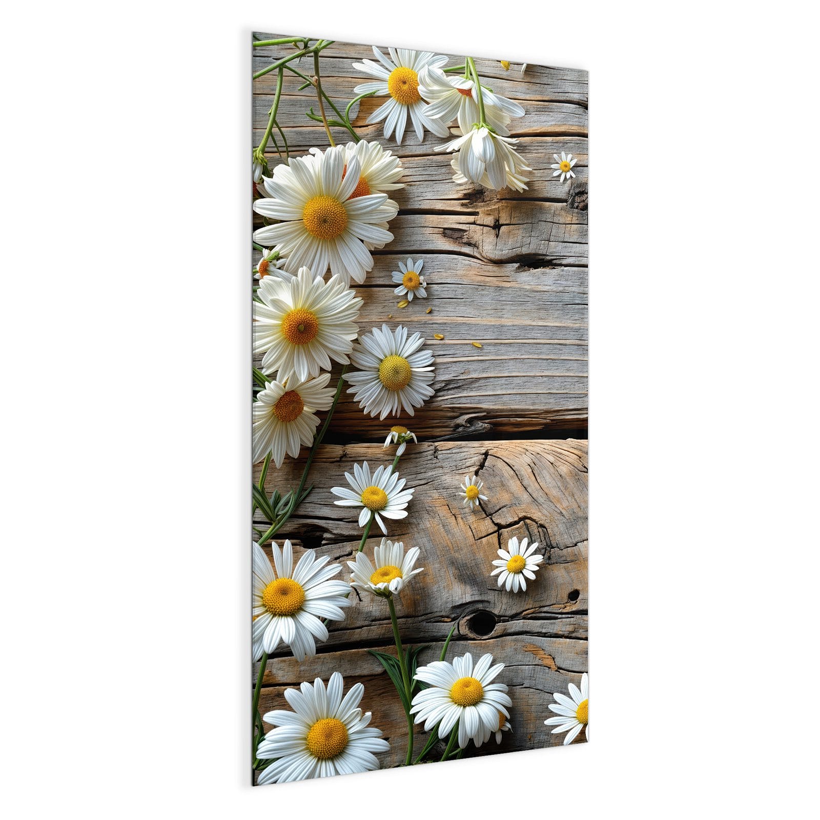 #grösse_50 x 100 cm