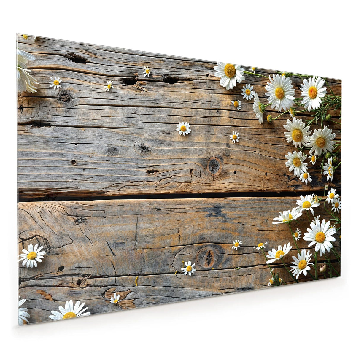 Küchenrückwand aus Glas im Hochformat: Weiße Margeriten und kleine Gänseblümchen am linken Rand auf grau verwitterten Holzbrettern
