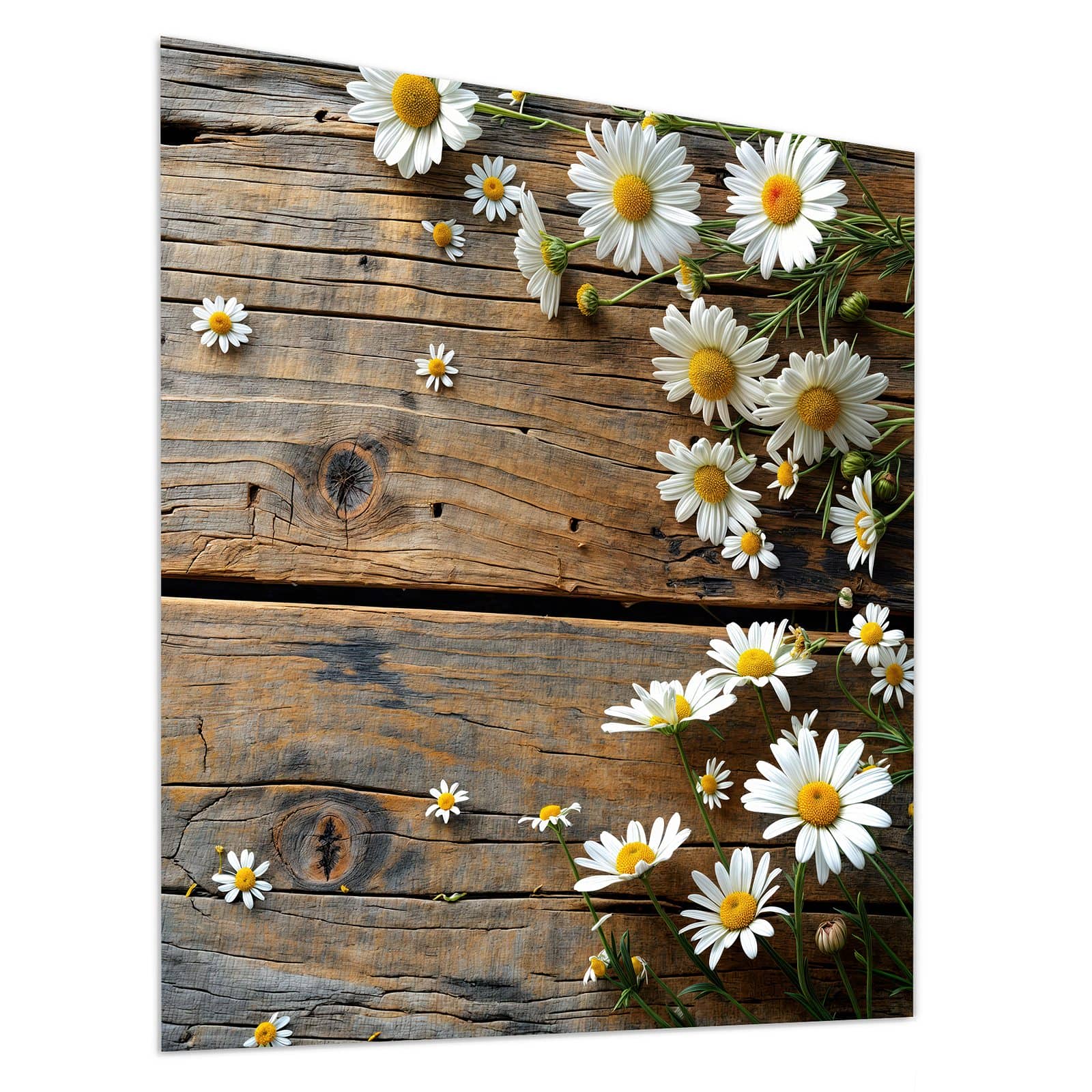 #grösse_90 x 100 cm