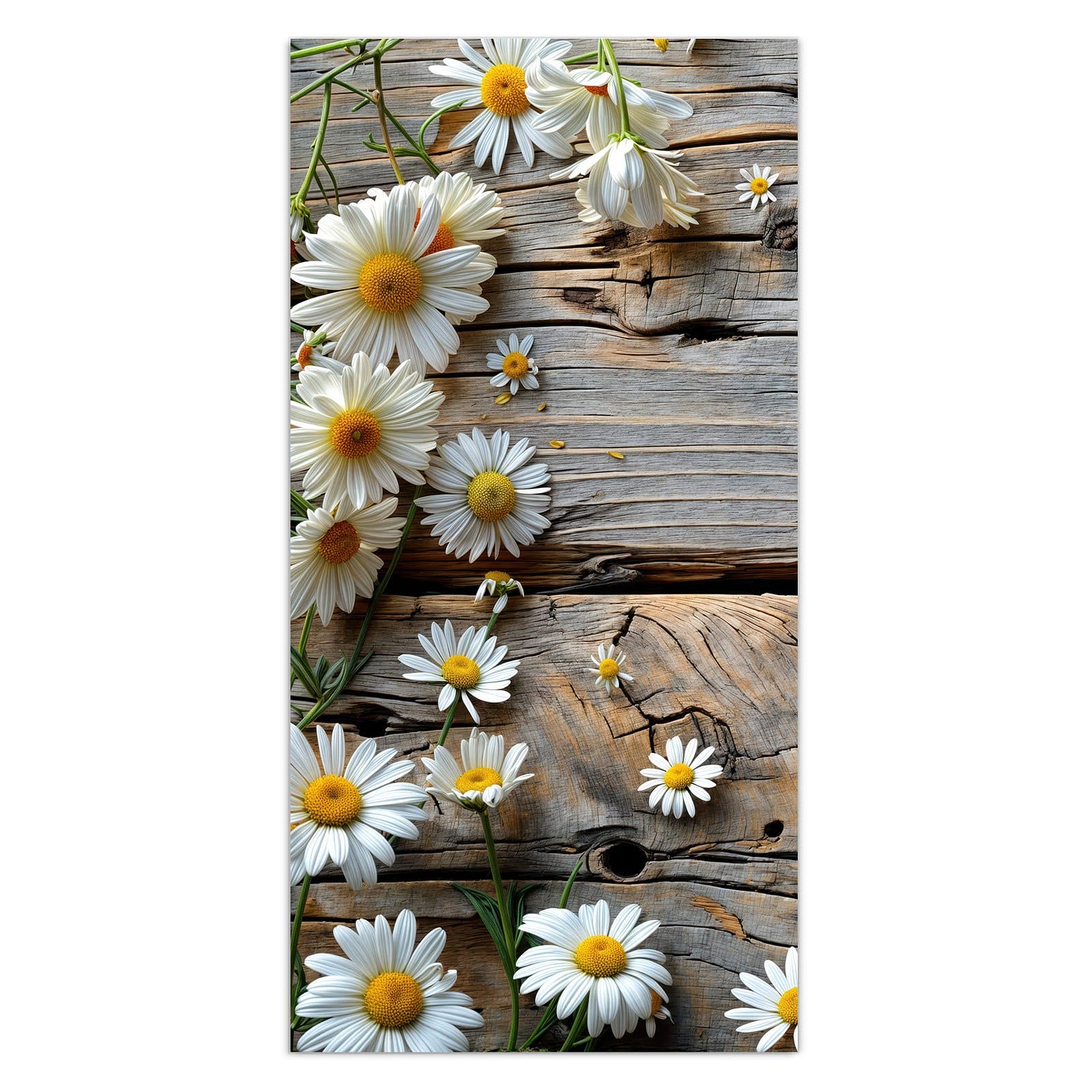 #grösse_30 x 60 cm #grösse_40 x 80 cm #grösse_50 x 100 cm #grösse_55 x 110 cm #grösse_60 x 120 cm