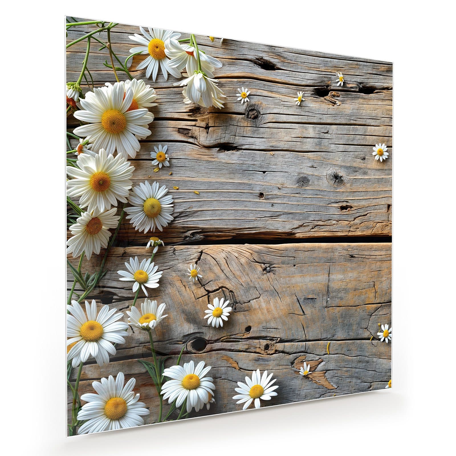 #grösse_30 x 30 cm #grösse_40 x 40 cm #grösse_50 x 50 cm #grösse_60 x 60 cm #grösse_70 x 70 cm #grösse_80 x 80 cm #grösse_90 x 90 cm #grösse_100 x 100 cm