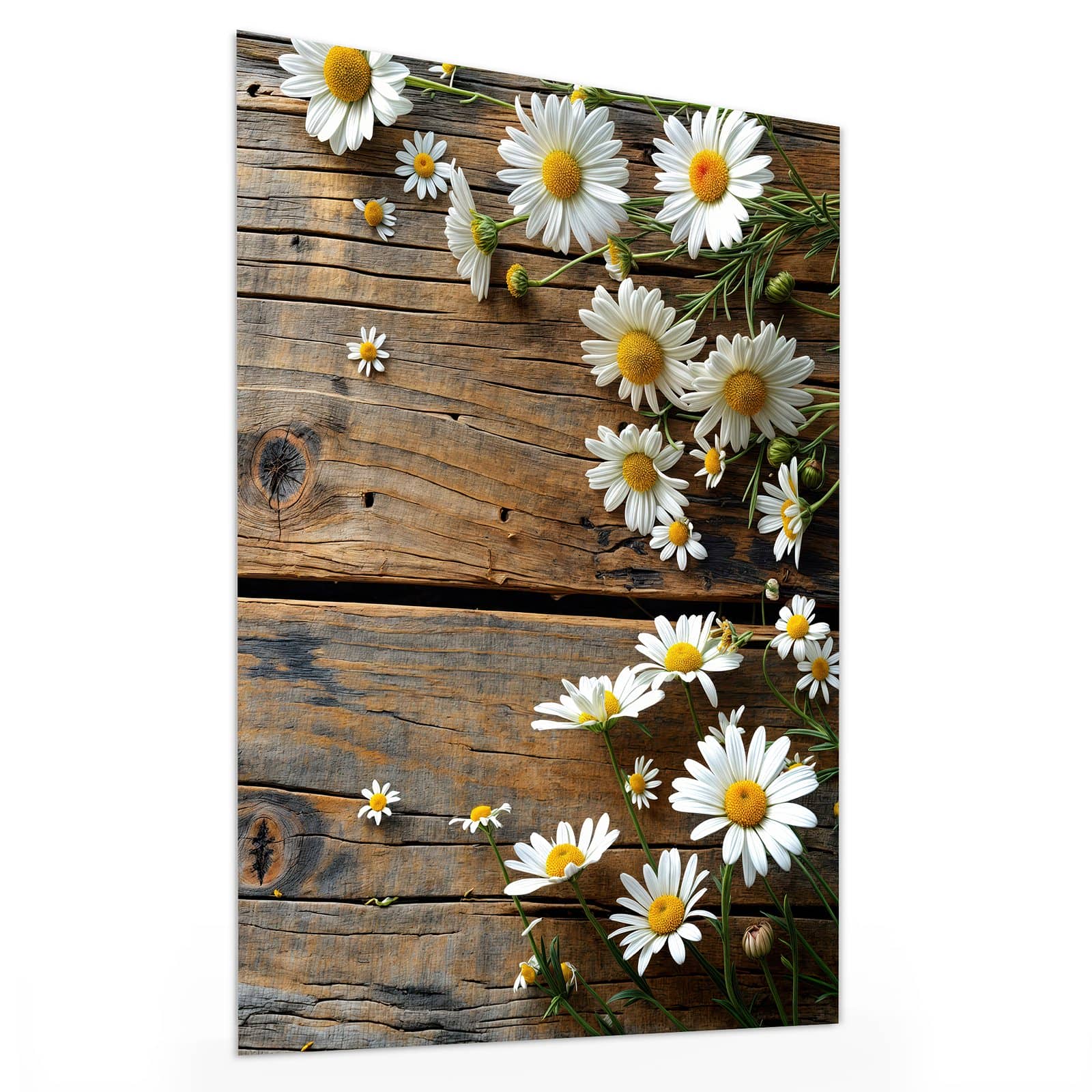 #grösse_30 x 40 cm #grösse_60 x 80 cm #grösse_75 x 100 cm