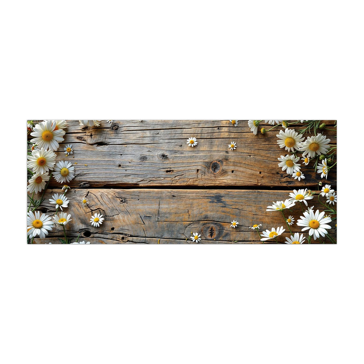 Küchenrückwand aus Glas Gänseblümchen auf Holz im Hochformat, Motiv bildfüllend von vorn