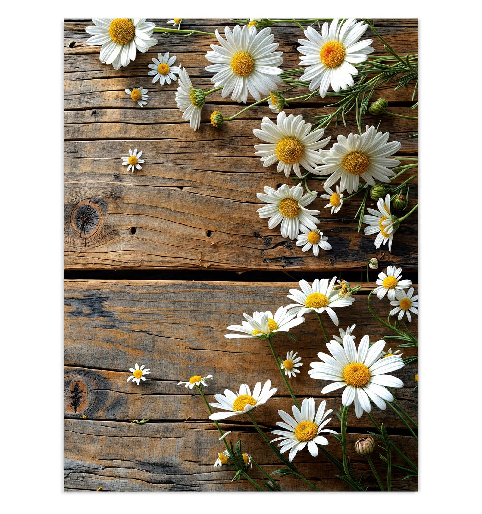 #grösse_30 x 40 cm #grösse_60 x 80 cm #grösse_75 x 100 cm