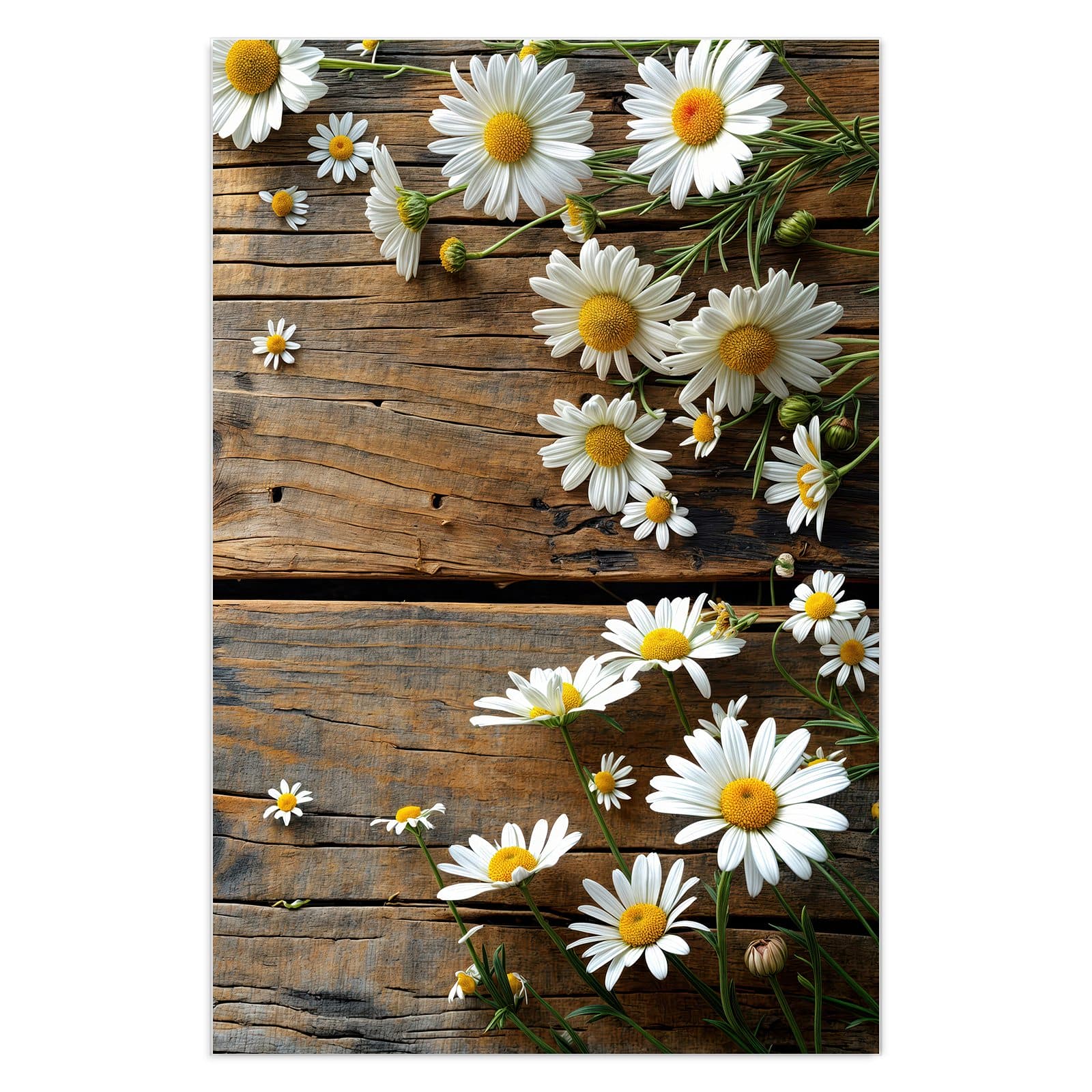 #grösse_40 x 60 cm #grösse_50 x 75 cm #grösse_60 x 90 cm