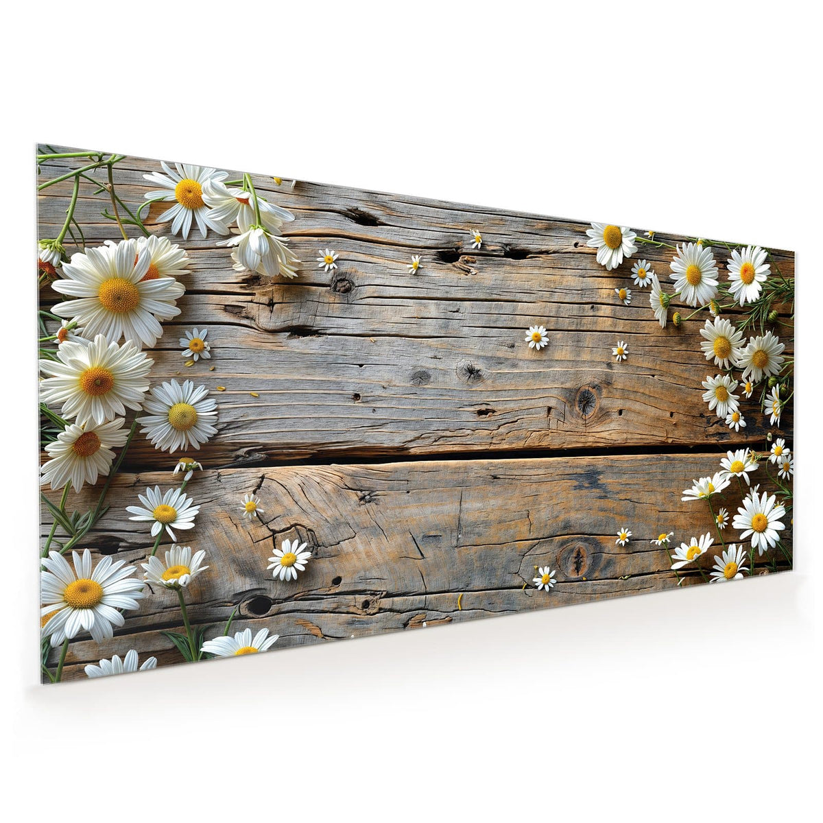 Küchenrückwand aus Glas im Hochformat: Weiße Margeriten und kleine Gänseblümchen am linken Rand auf grau verwitterten Holzbrettern