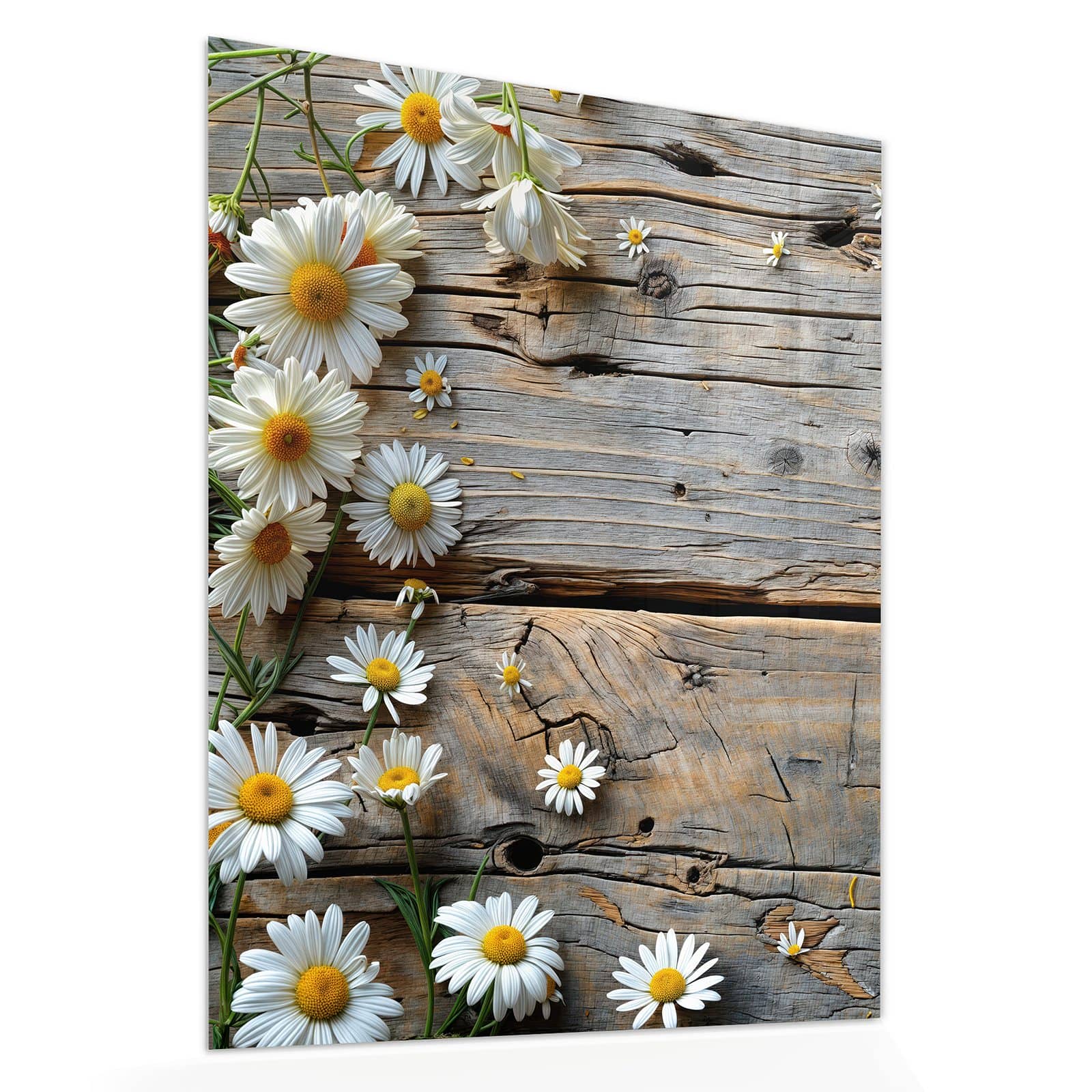 #grösse_60 x 75 cm #grösse_80 x 100 cm