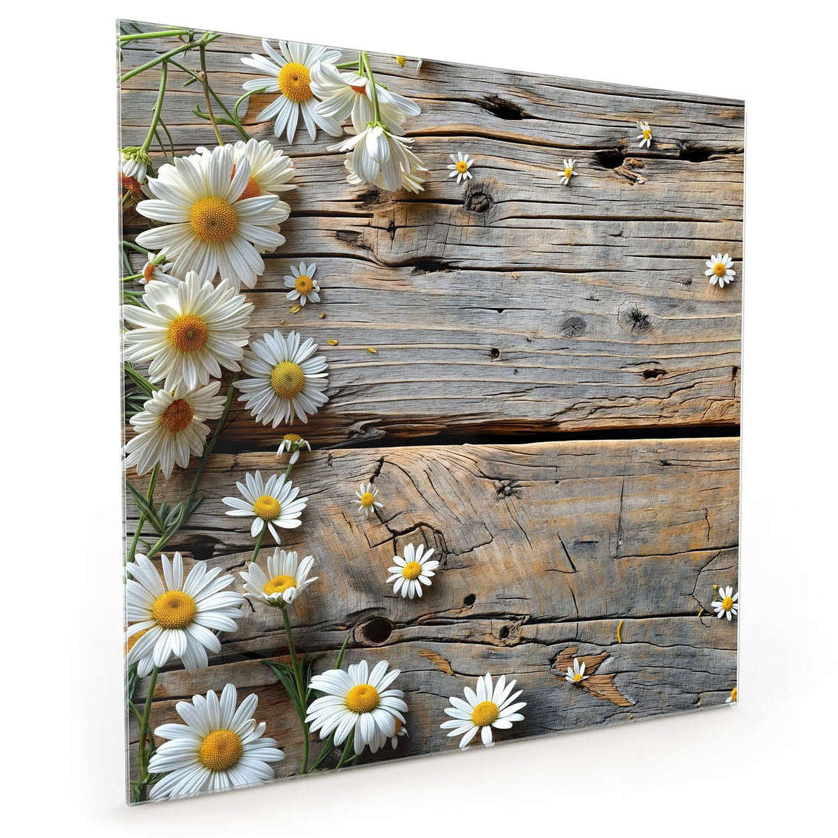 #grösse_40 x 40 cm #grösse_50 x 50 cm #grösse_60 x 60 cm