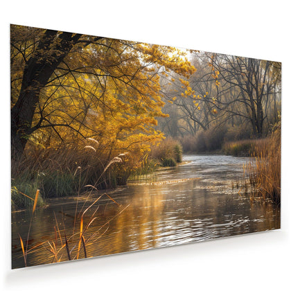 Wandbild mit dem Motiv Schilf am Herbstfluss